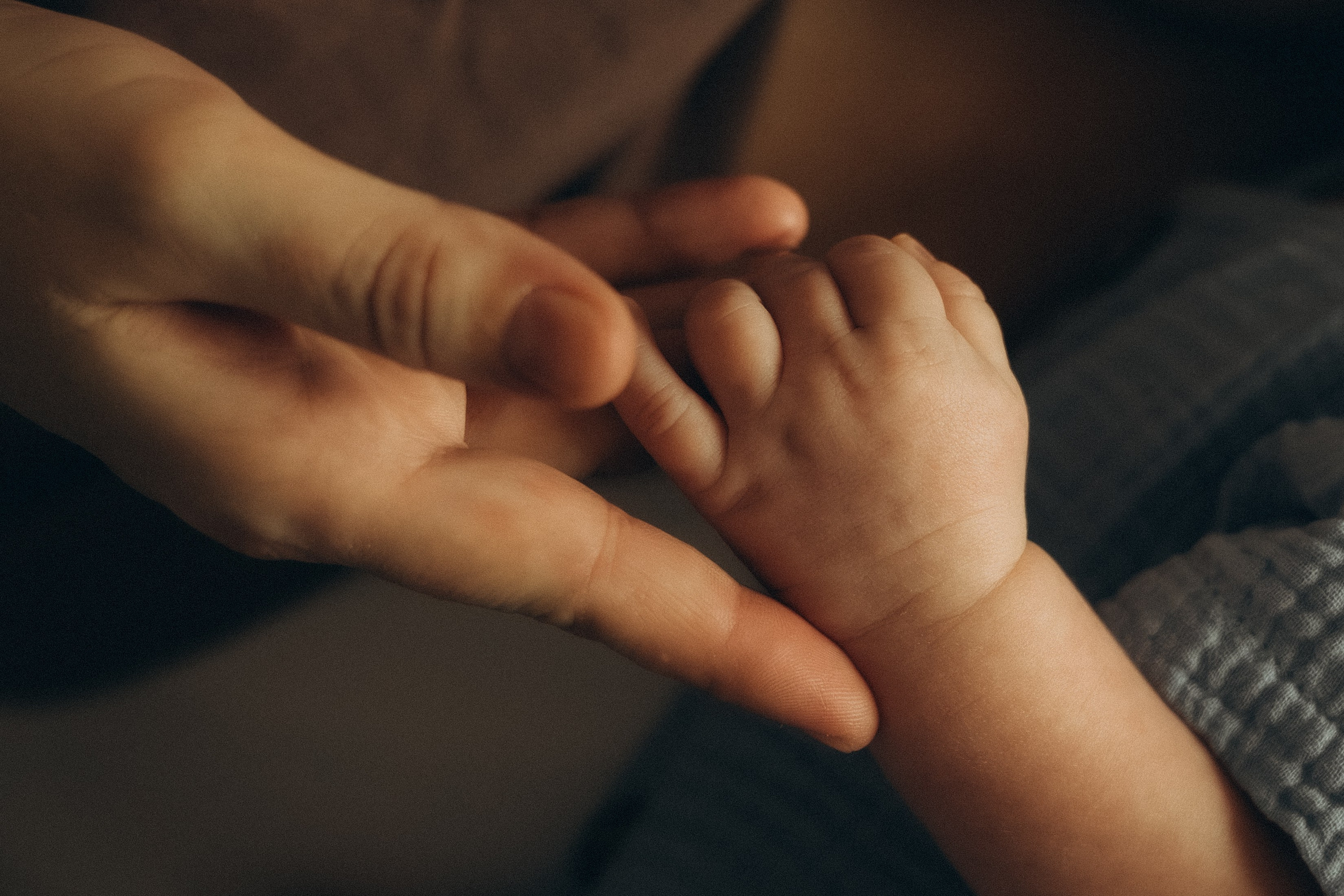 Семейная / Домашняя. Анна Лобастова | Фотограф для особенных мгновений ❤ Москва Люберцы