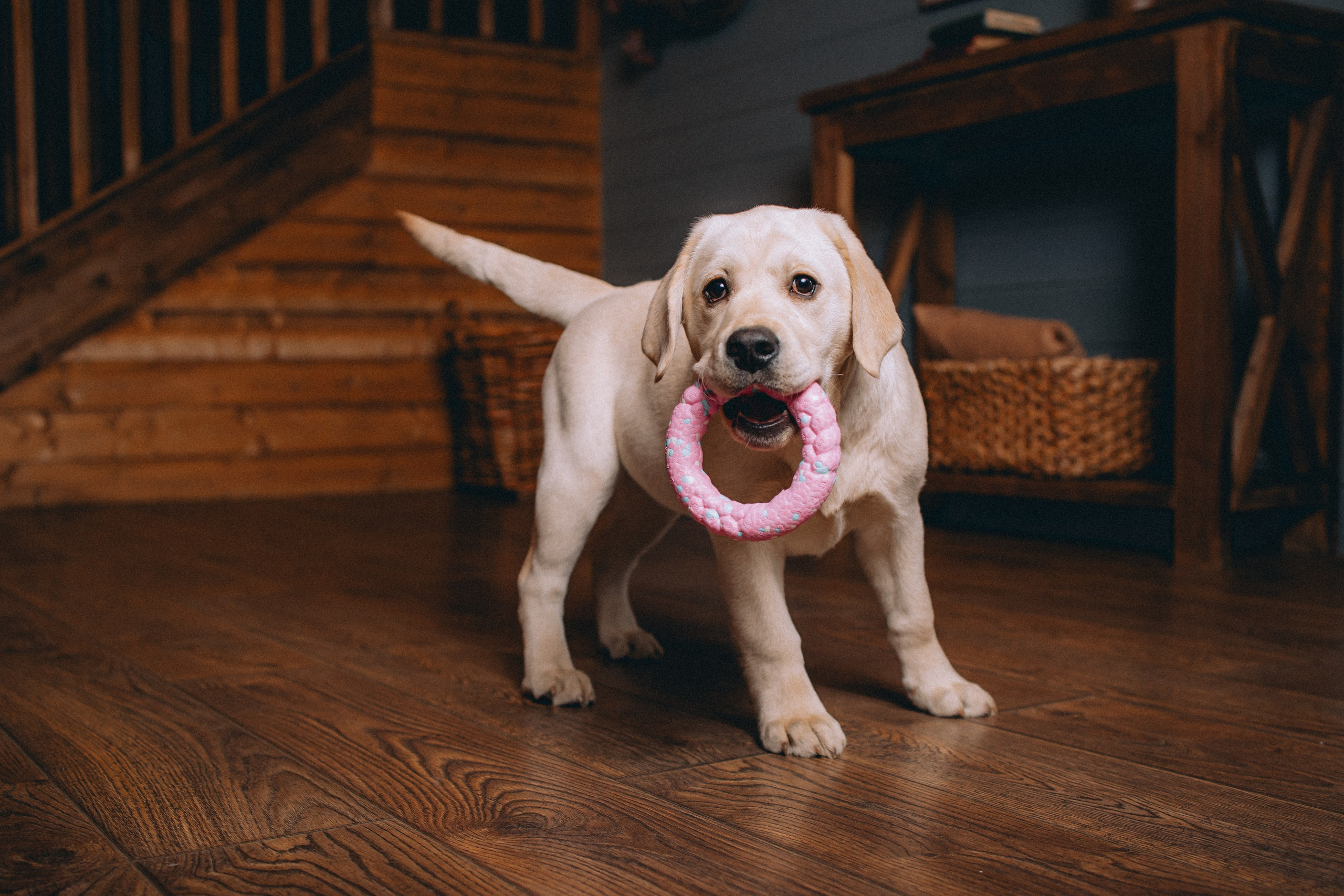 Ума, Берта и их семья