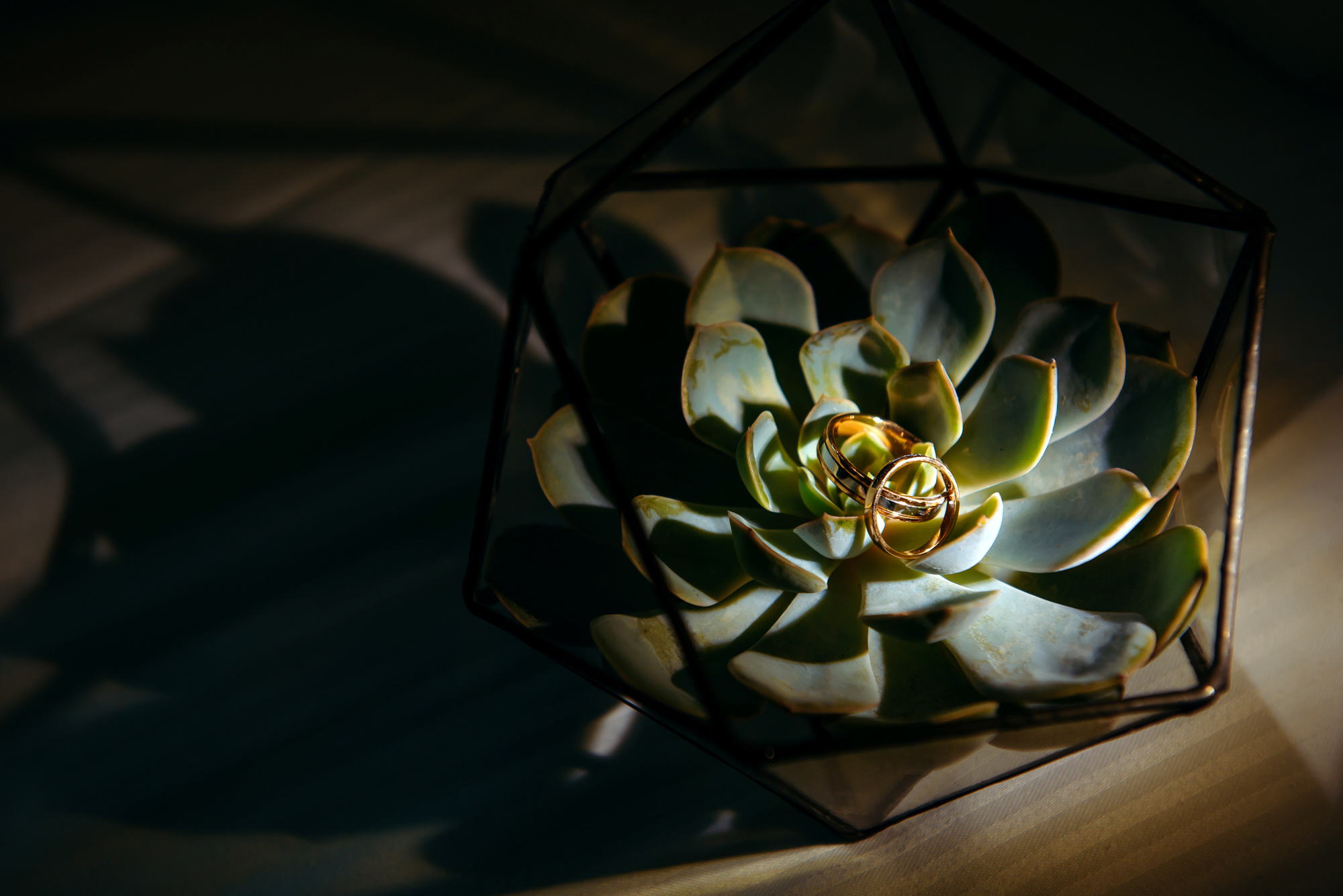 Таня и Дима. Свадебный и семейный фотограф в Новосибирске Александр Счастный