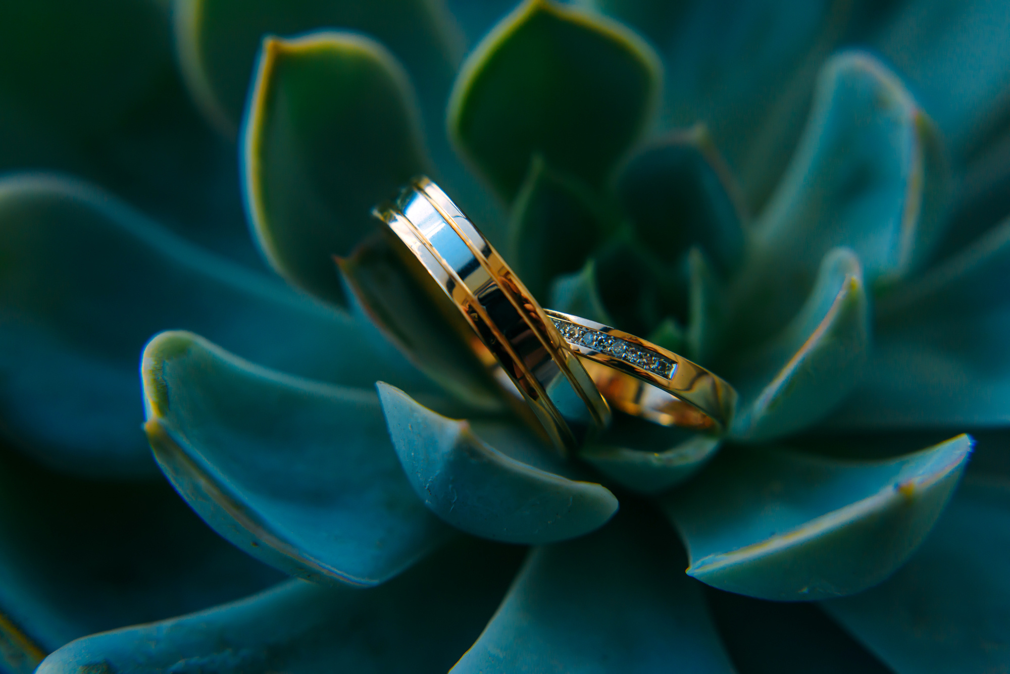 Таня и Дима. Свадебный и семейный фотограф в Новосибирске Александр Счастный