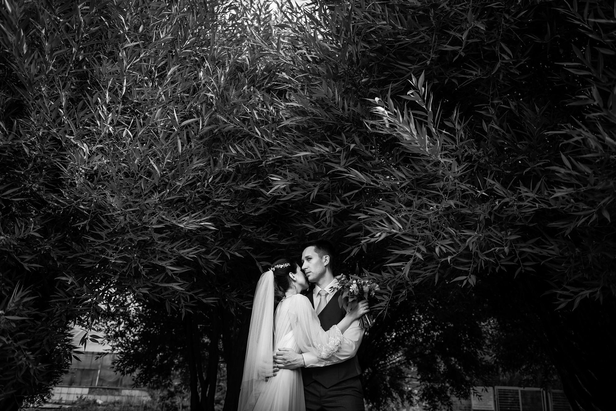 Таня и Дима. Свадебный и семейный фотограф в Новосибирске Александр Счастный