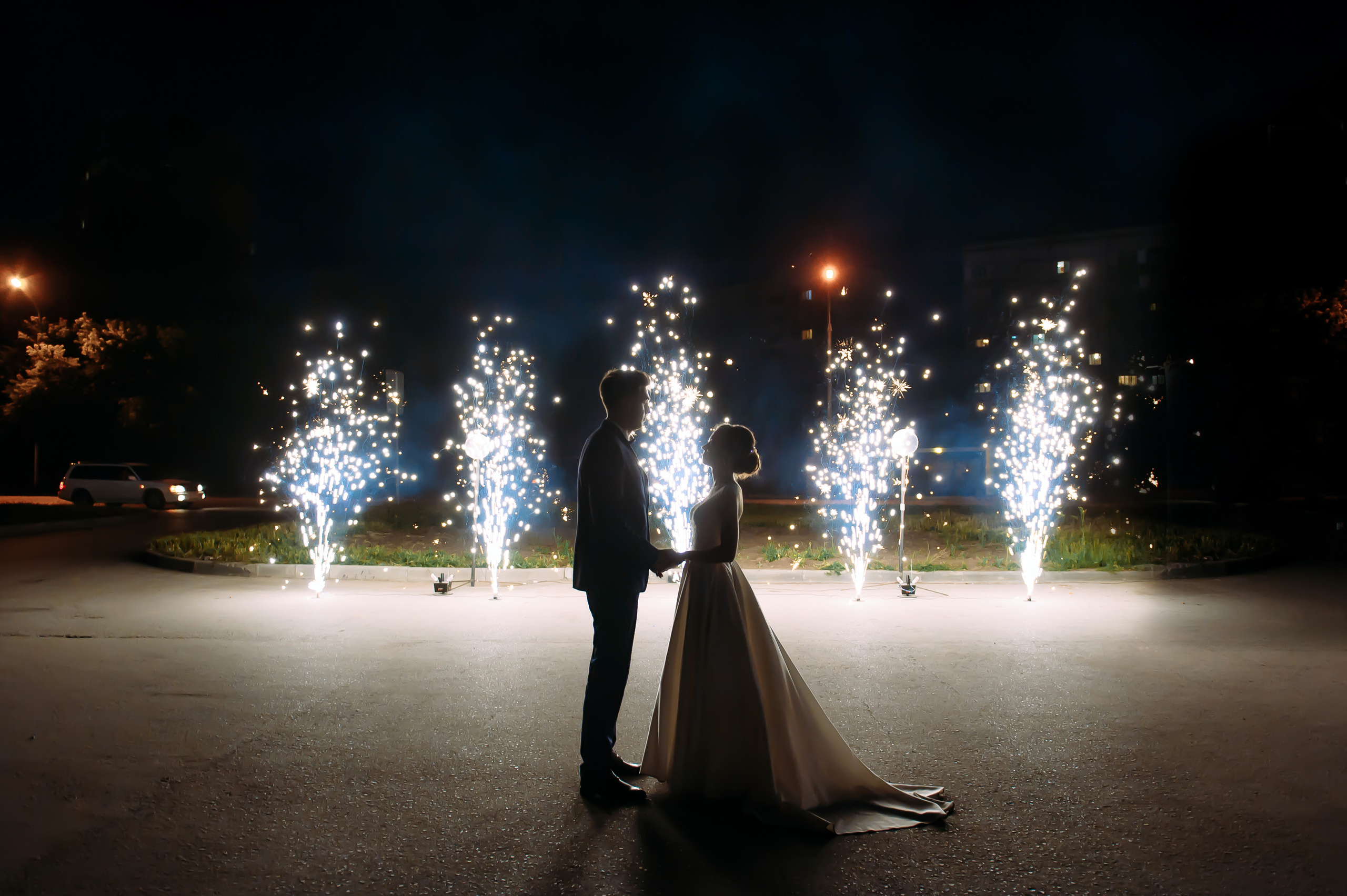 Евгения и Дмитрий. Свадебный и семейный фотограф в Новосибирске Александр Счастный