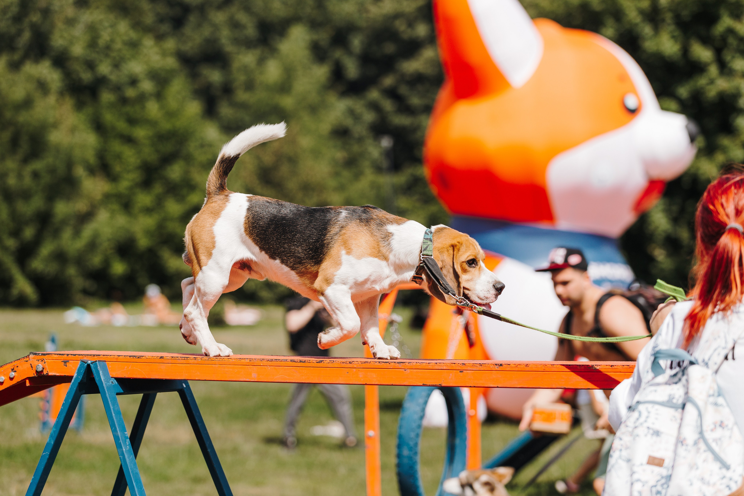 Petshop Sup day. Фотограф анималист Кристина Карпова, Москва