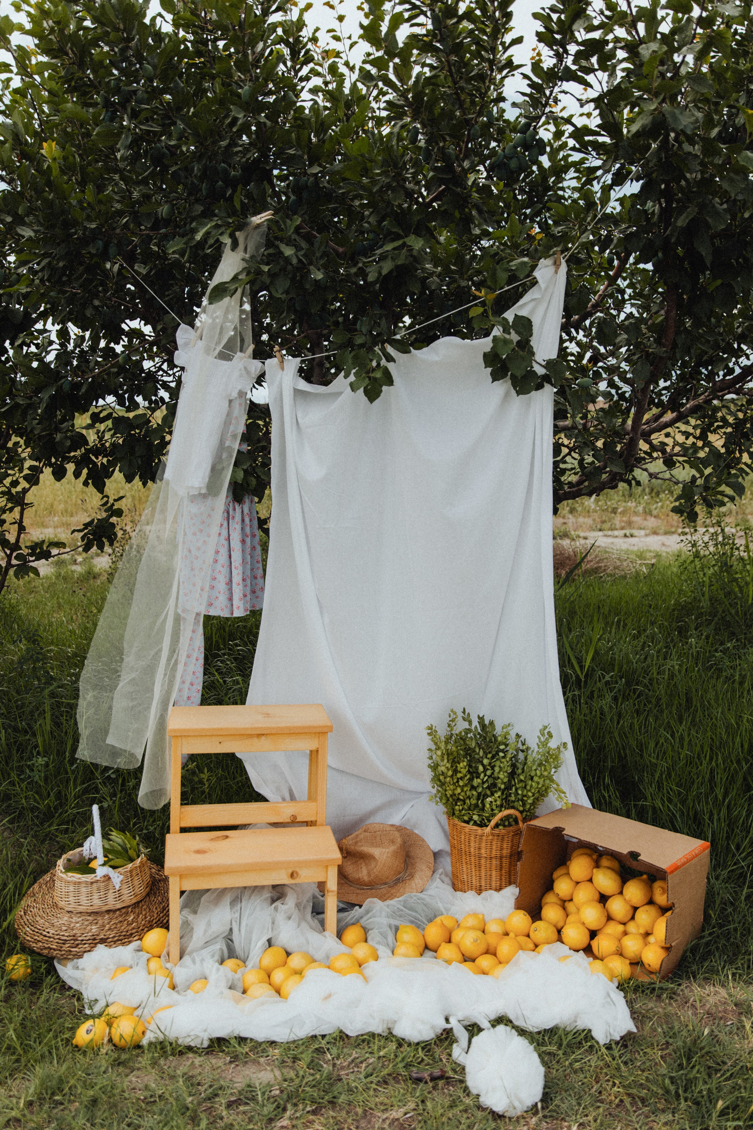 Lemon. Свадебный фотограф Анастасия Пальчикова