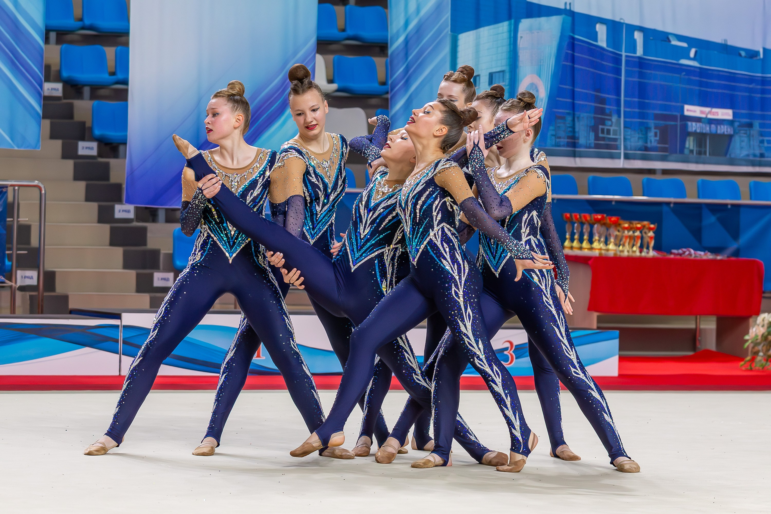 Чемпионат и Первенство ПФО РФ по эстетической гимнастике. GYM-PHOTO. Спорт в кадре
