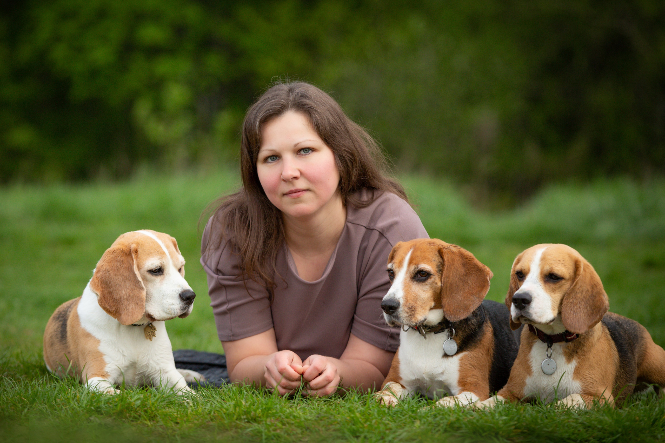 Бигли питомника КрисМэлл. Фотограф-анималист Natalia Deingel | Фотосъемка собак в Москве