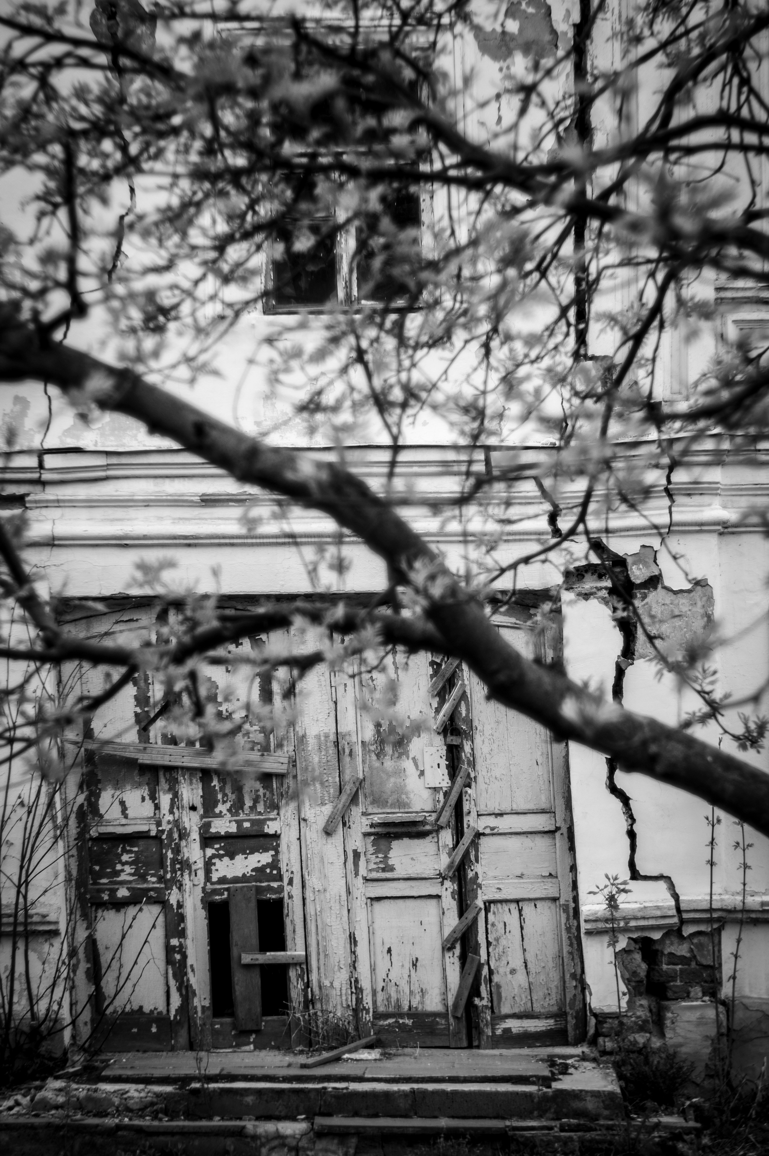 Рязань. Май 2022. Фотограф Роман Адлер