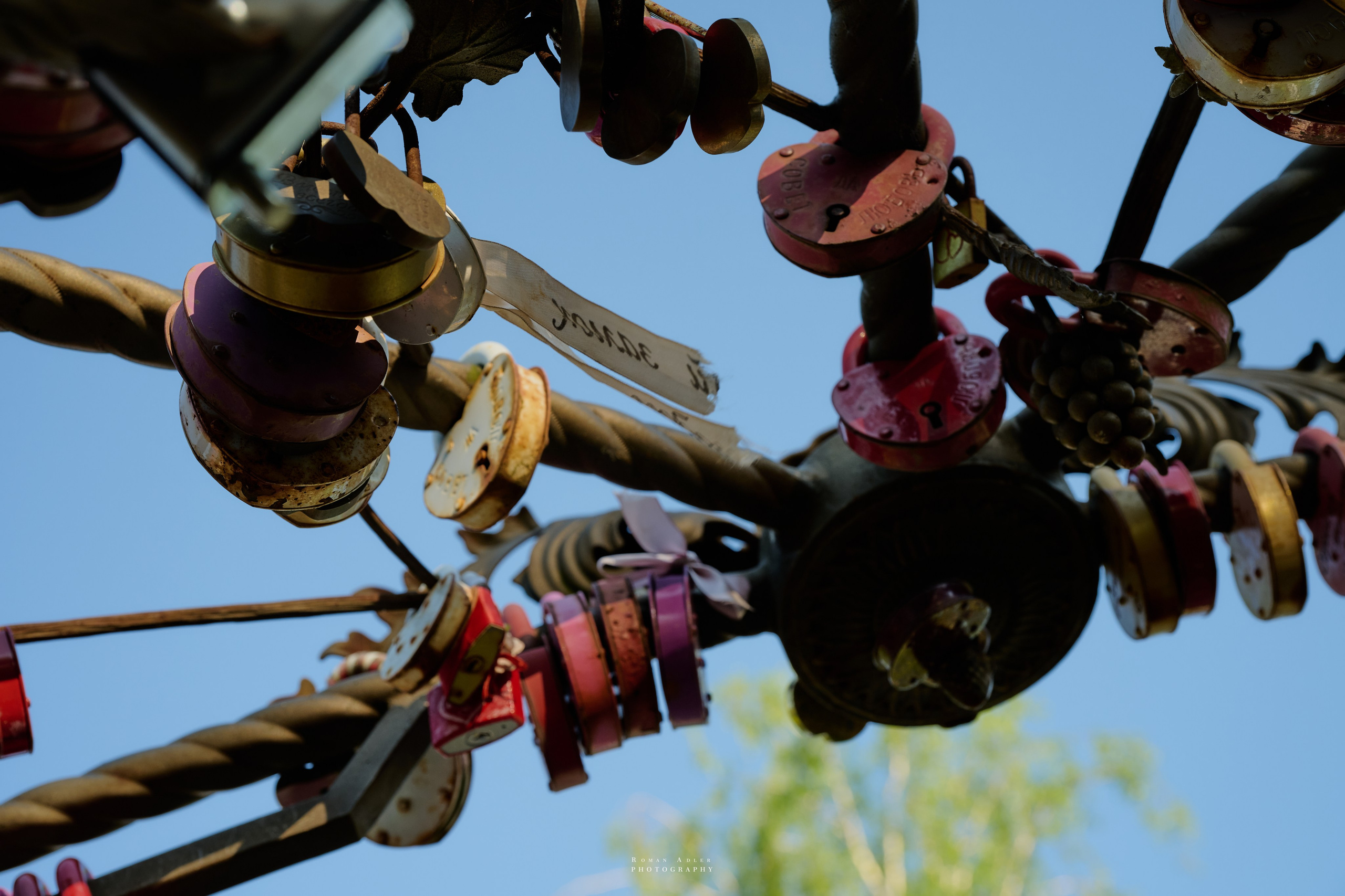 Орел. Апрель 2024. Фотограф Роман Адлер