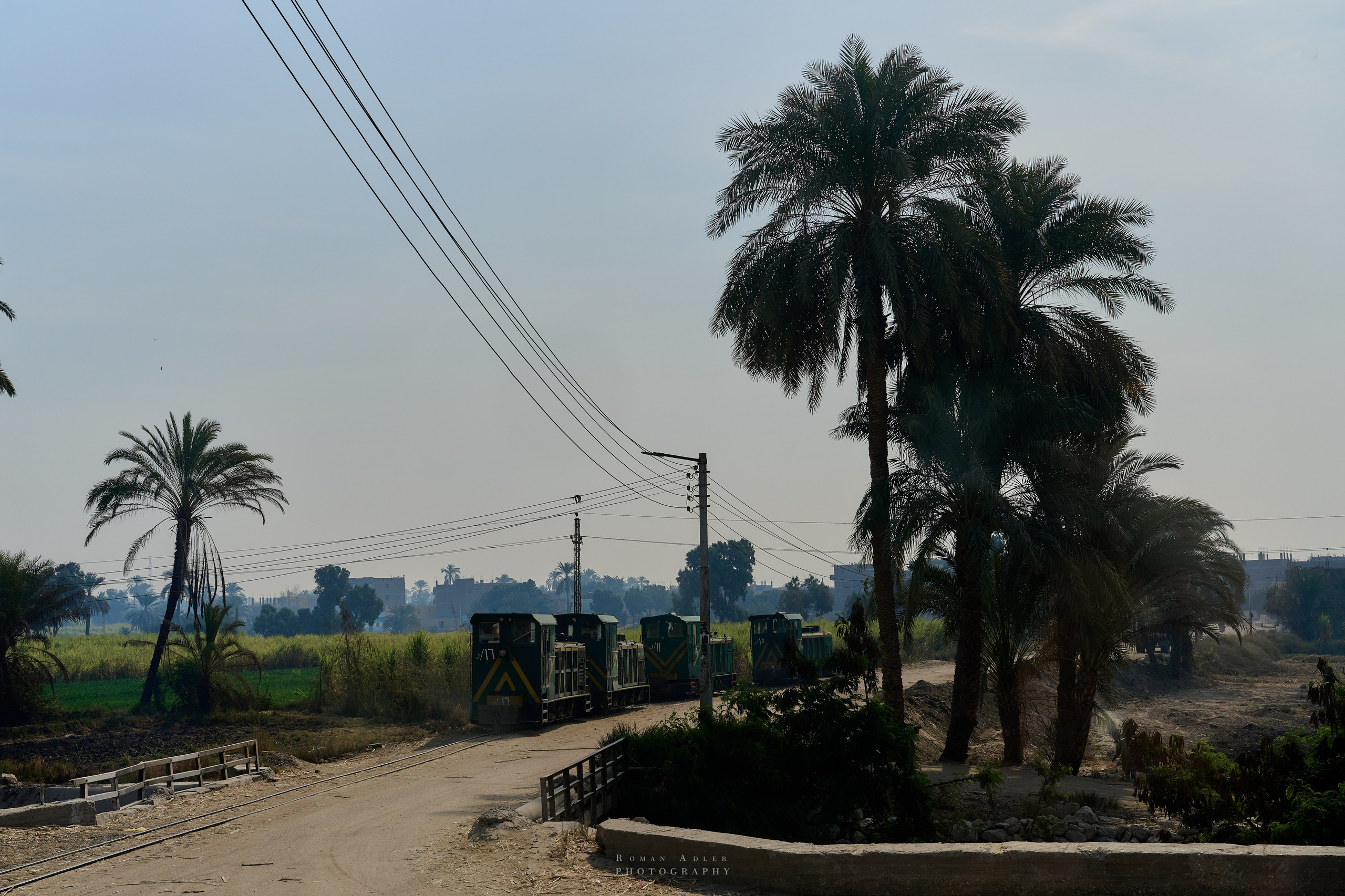 Луксор. Февраль 2025. Фотограф Роман Адлер