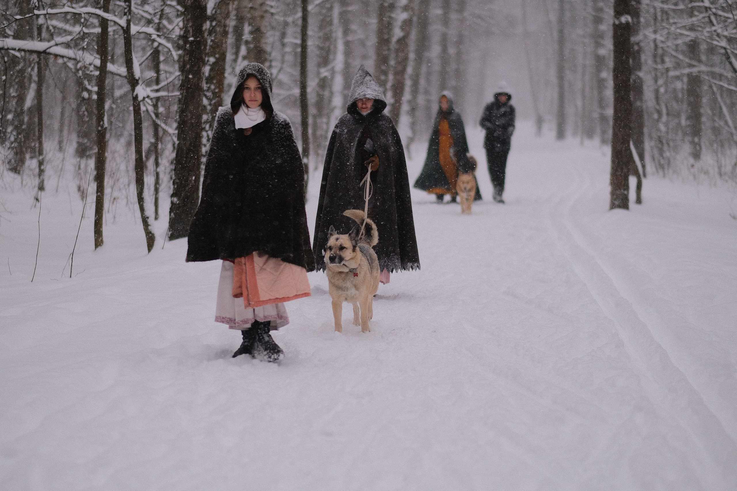 Дмитрий Бречалов