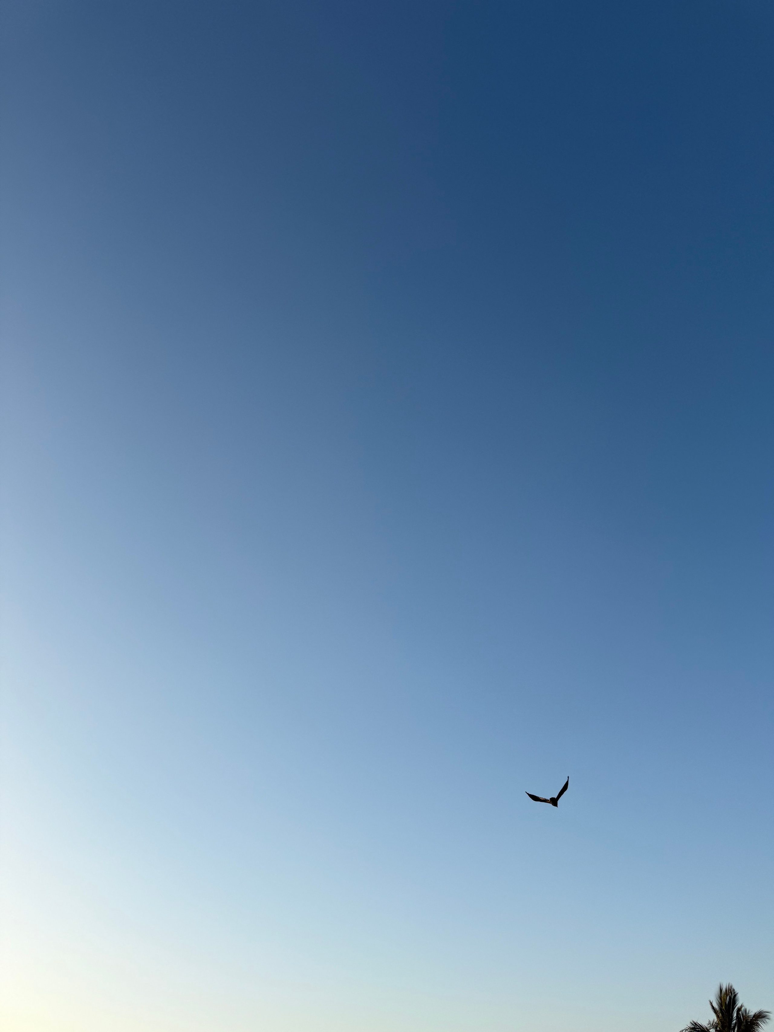 Фотограф Москва. Фотограф и художник в Москве Евгения Нюнина