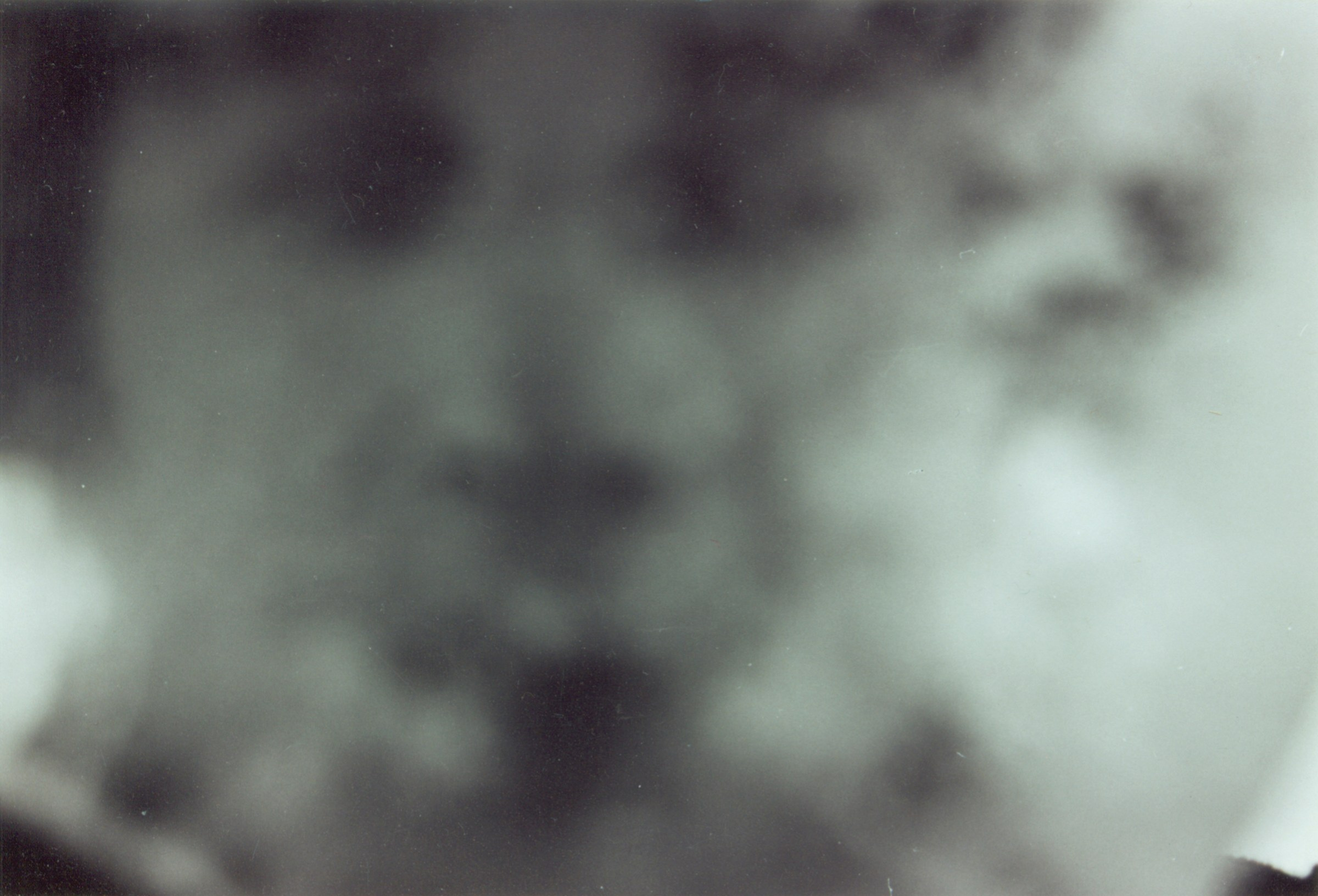 Meanwhile. Елена Цихон художник фотографии и мастер фото-ДНК