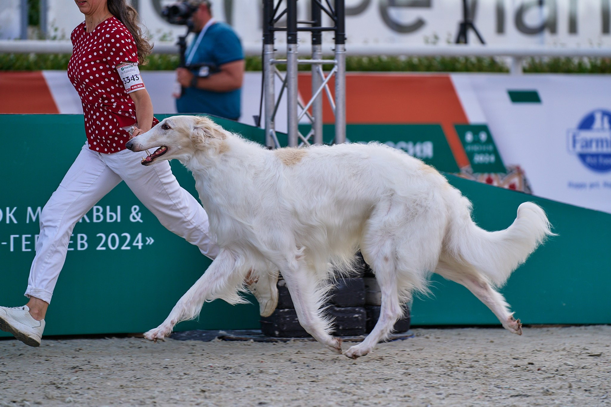 09.06.2024, «РОССИЯ. КУБОК МОСКВЫ 2024 & КУБОК ГОРОДОВ-ГЕРОЕВ»