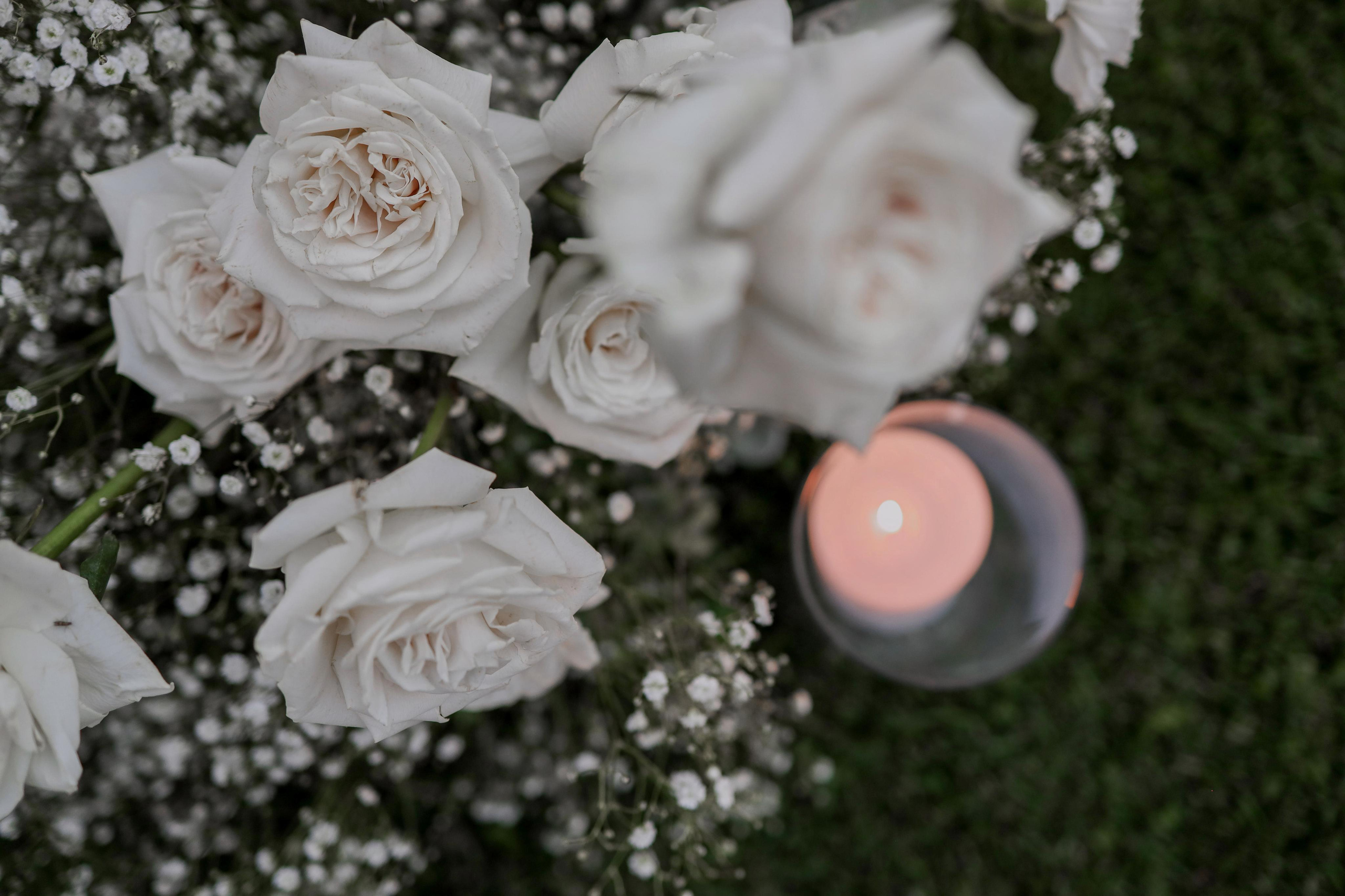 С & В. Свадебный фотограф в Крыму Виталий Овчинников