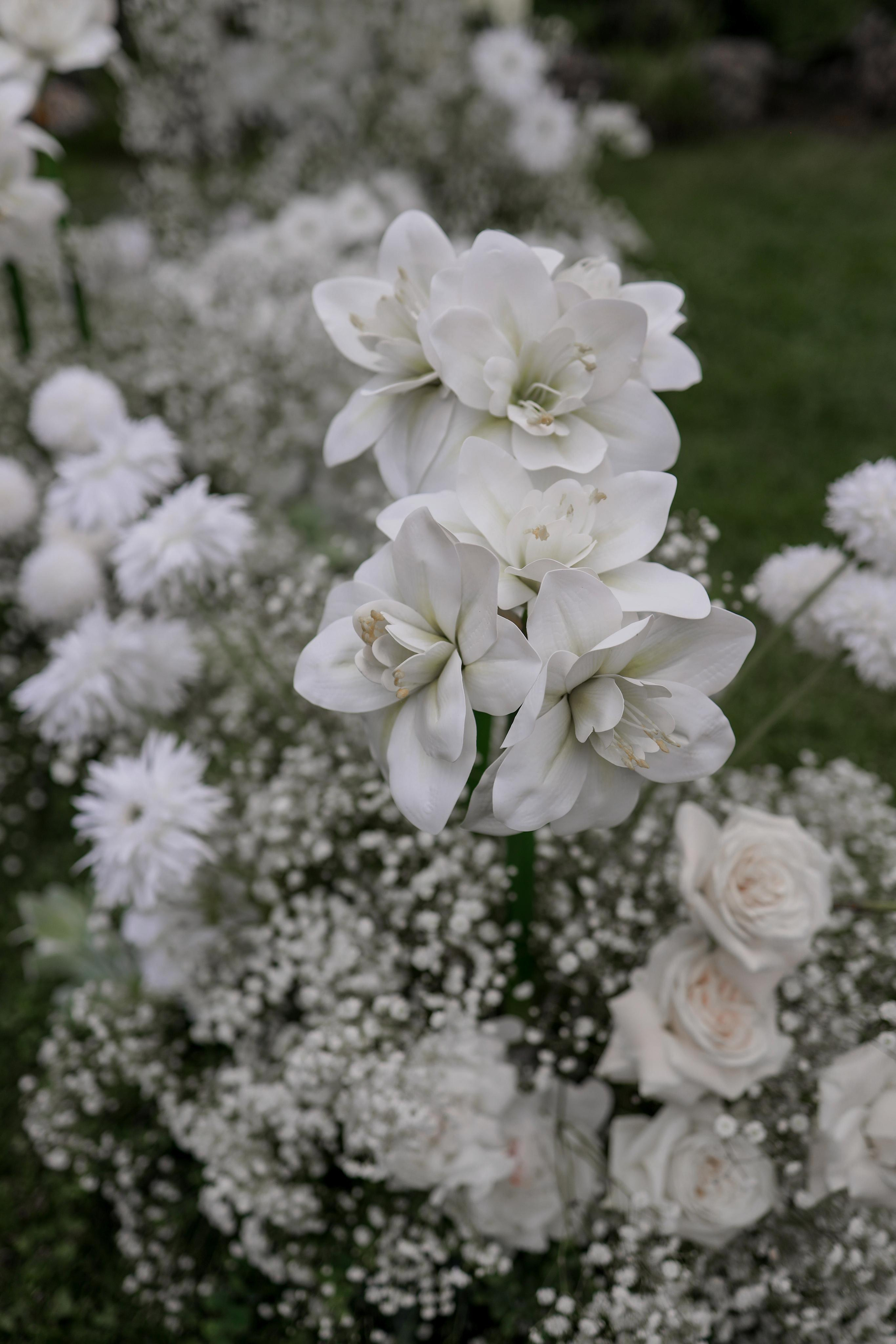 С & В. Свадебный фотограф в Крыму Виталий Овчинников