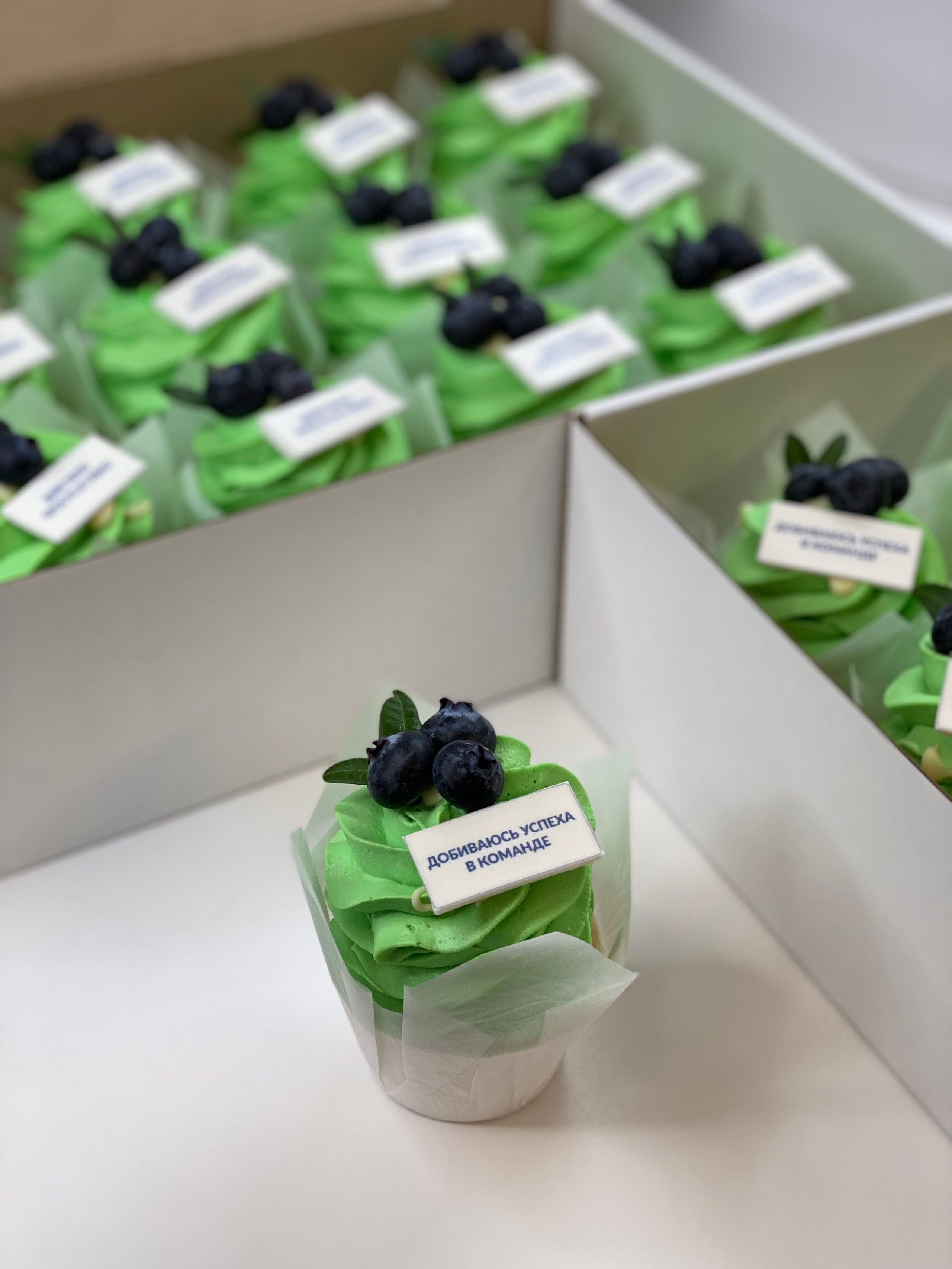 Капкейки стандартные с логотипом. Katyasugarsugar капкейки, зефир, торты Москва