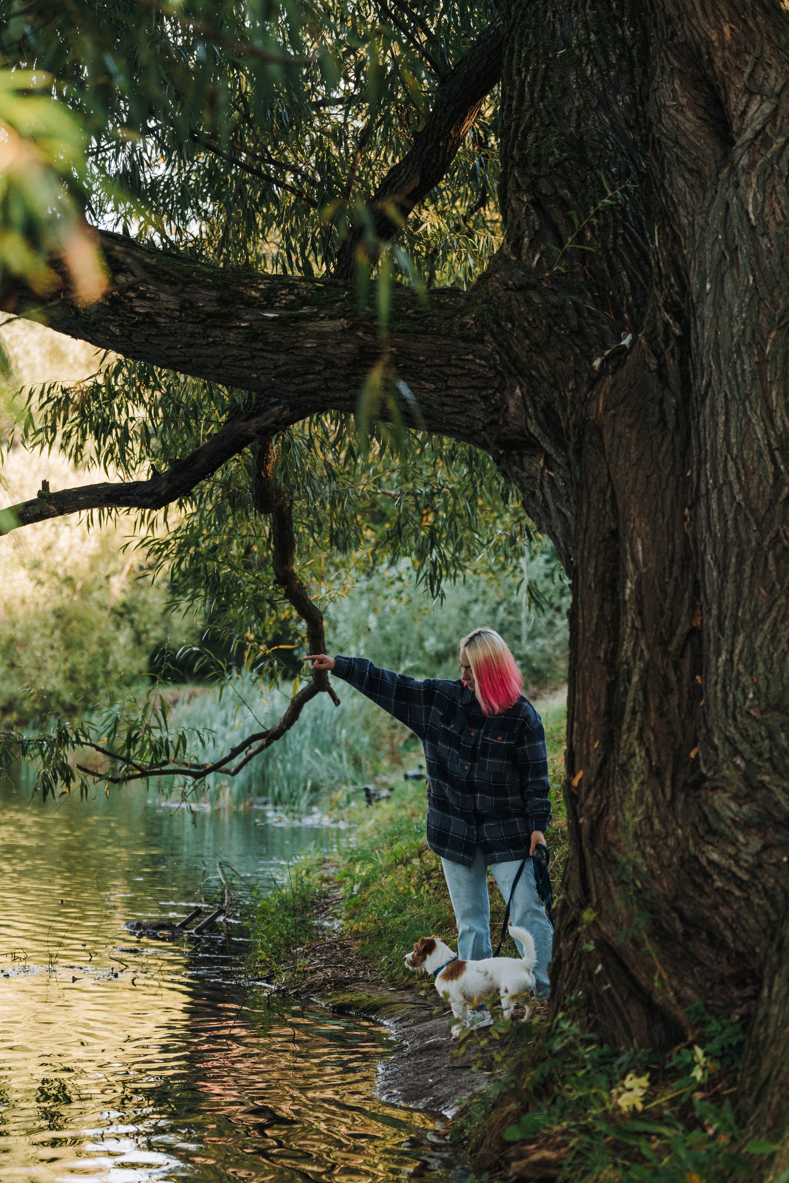 Фотосессия с маленькой собакой Спб. Фотограф анималист в Спб недорого Олеся Майорова