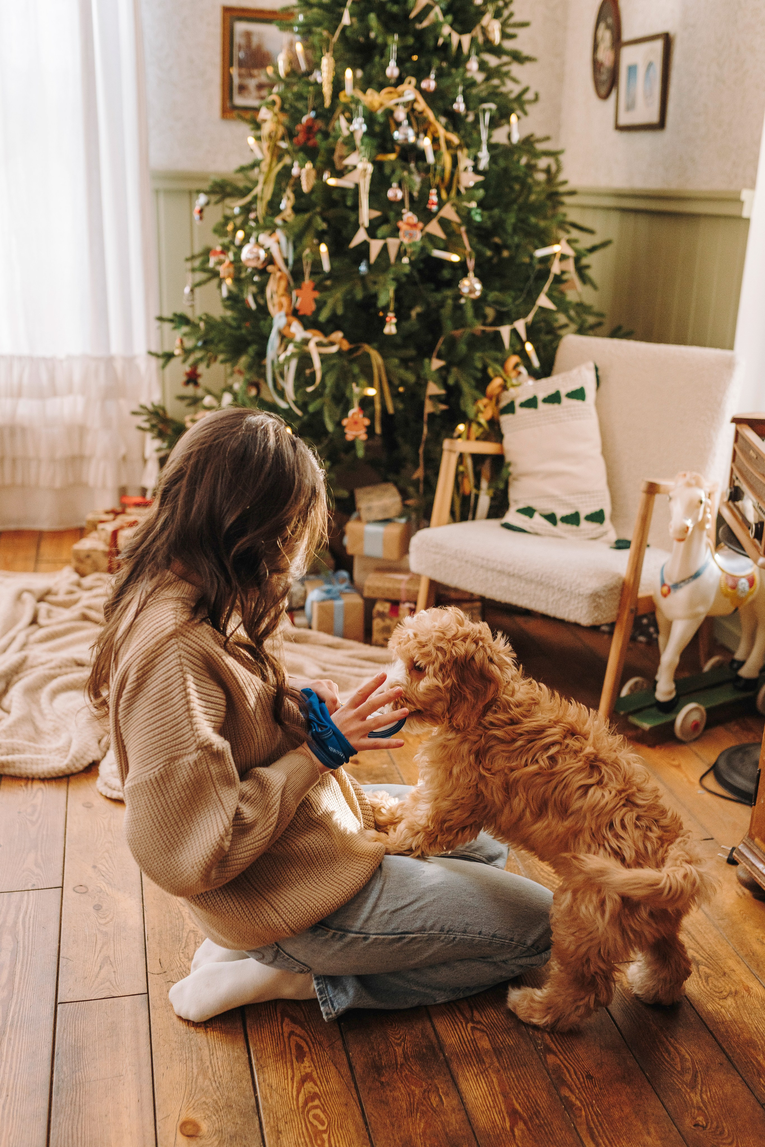 Мёрфи, Таня и Антон. Фотограф анималист в Спб недорого Олеся Майорова