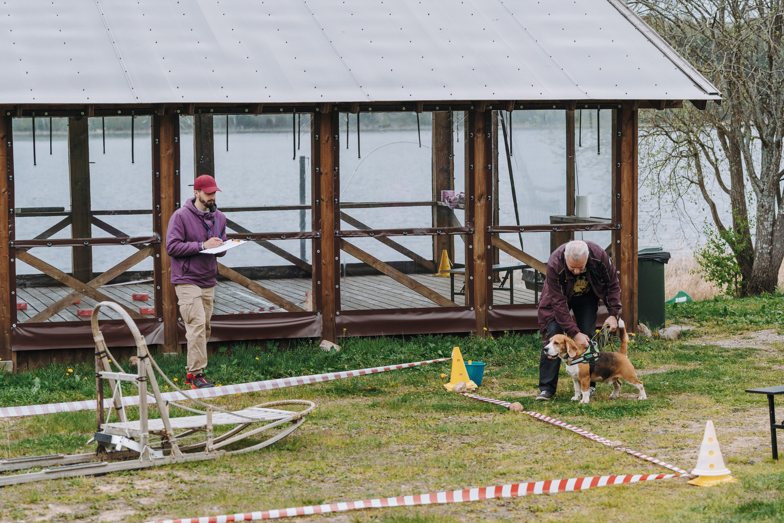 Соревнования по ноузворку в Лосево. Фотограф анималист в Спб недорого Олеся Майорова