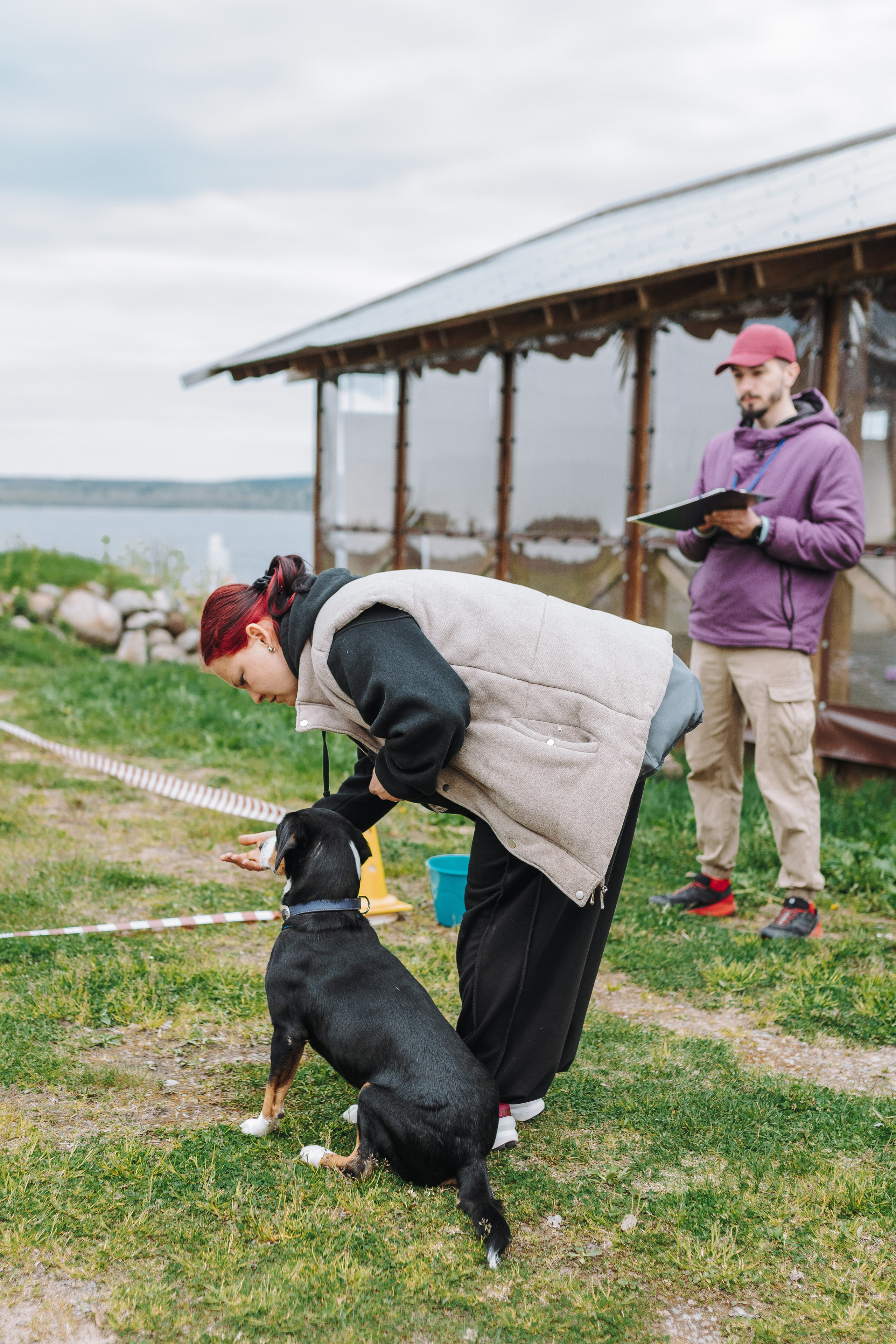 Соревнования по ноузворку в Лосево. Фотограф анималист в Спб недорого Олеся Майорова