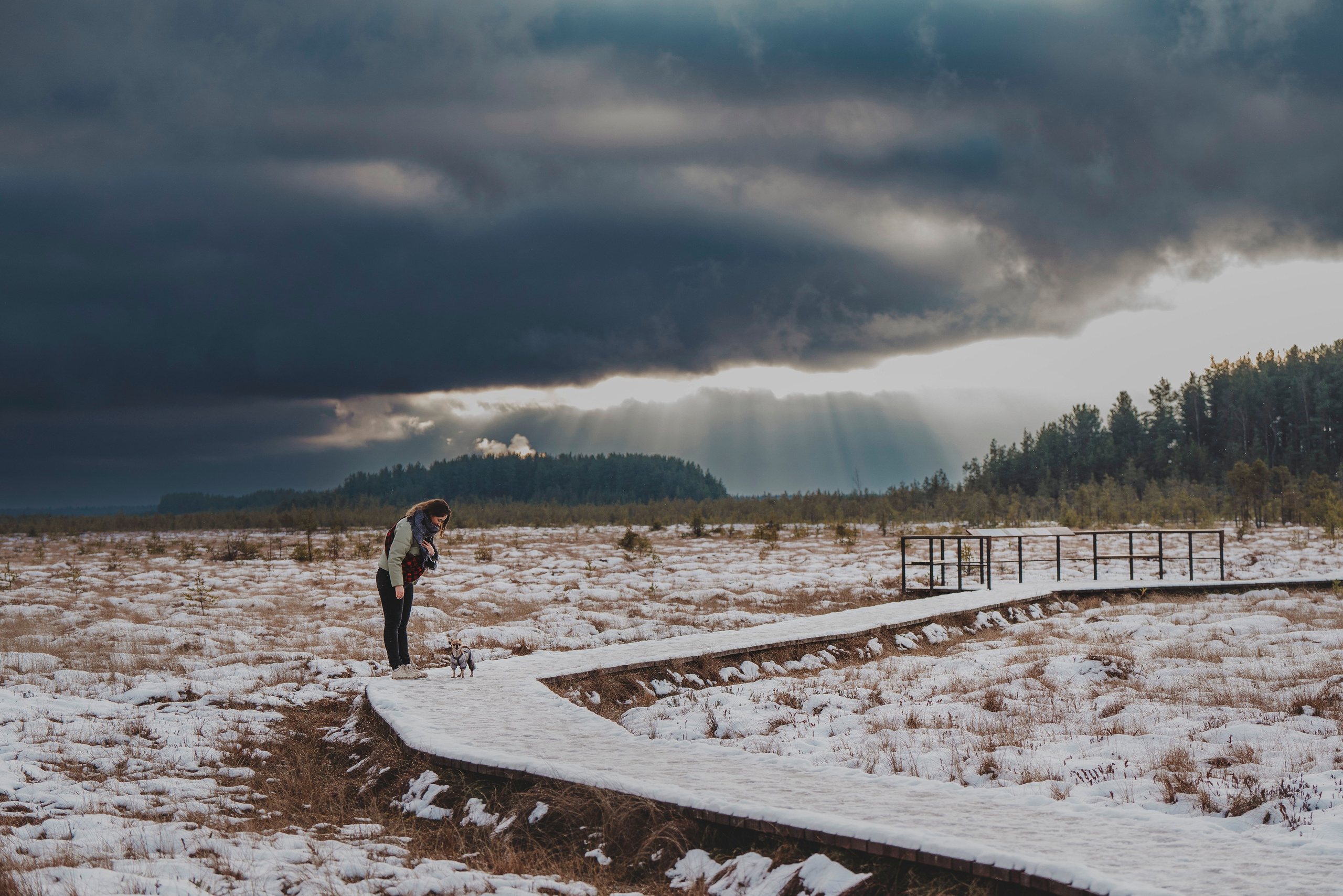 Наталия и Боря. Фотограф анималист в Спб недорого Олеся Майорова