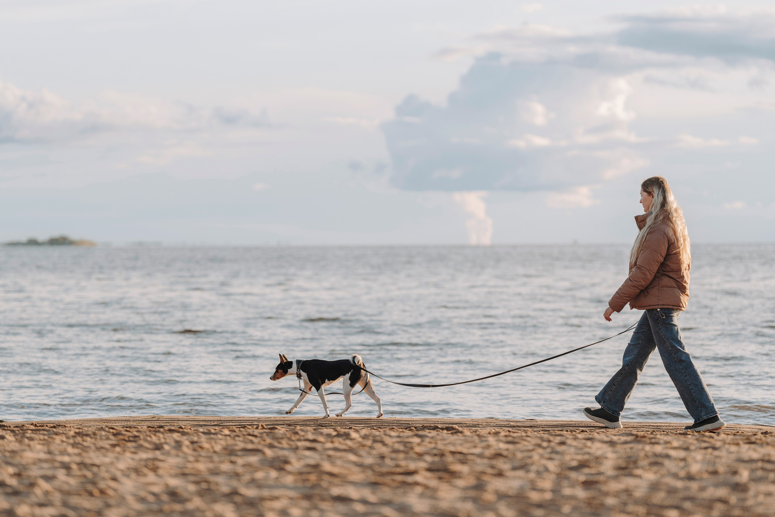 Екатерина и Дива. Фотограф анималист в Спб недорого Олеся Майорова