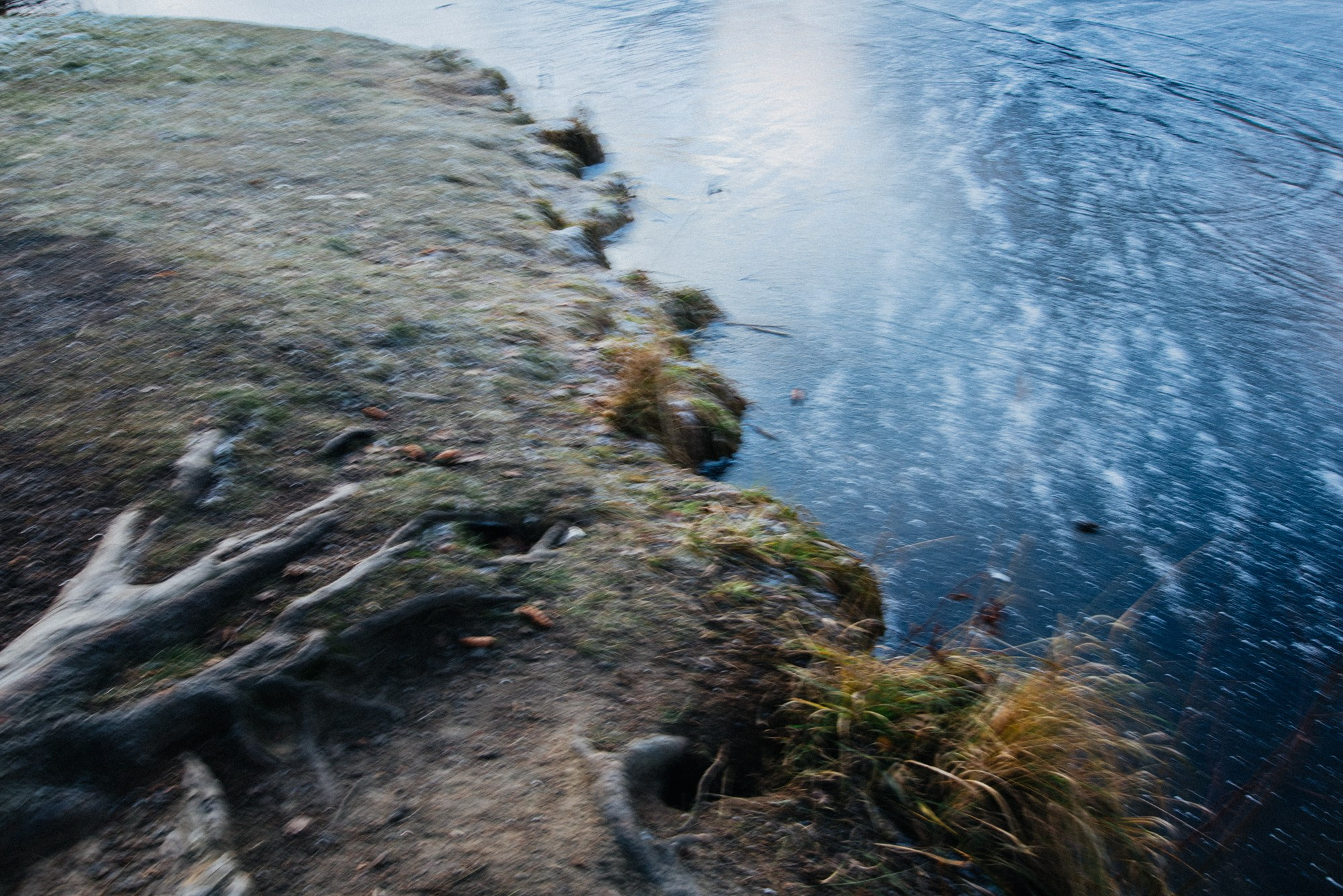 На стыке осени и зимы. Семейный и детский фотограф в Санкт-Петербурге Марина Сергеева
