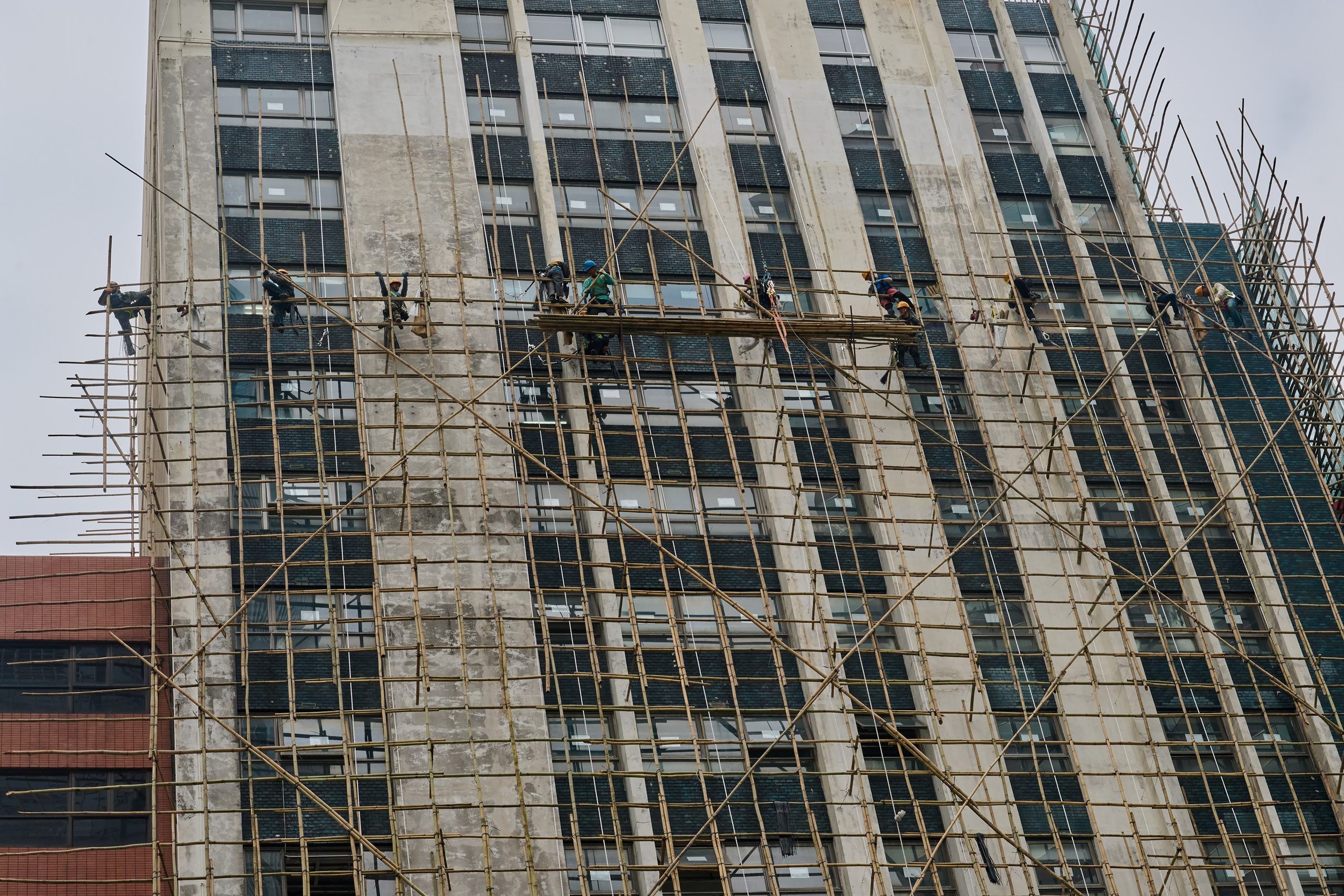 Жизнь, люди, стрит, вокруг, животные, на улице. Яркие фото на Чёрном море