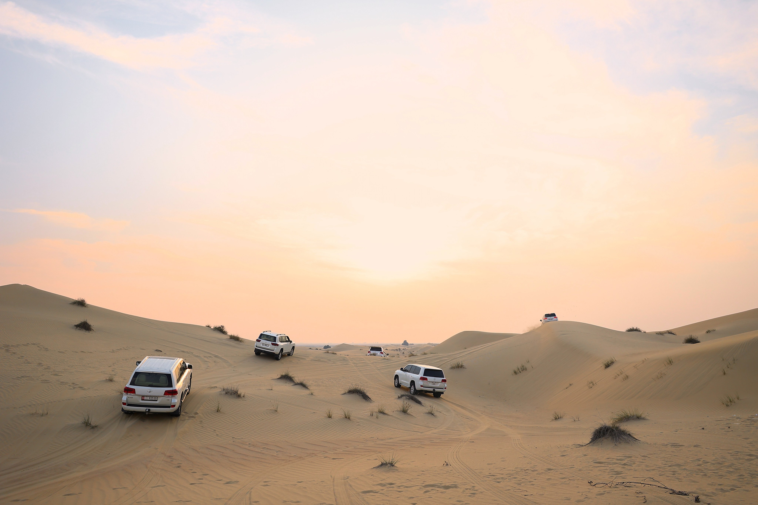 ПУСТЫНЯ. Свадебный фотограф Сочи Москва Дубай Снежана Магрин