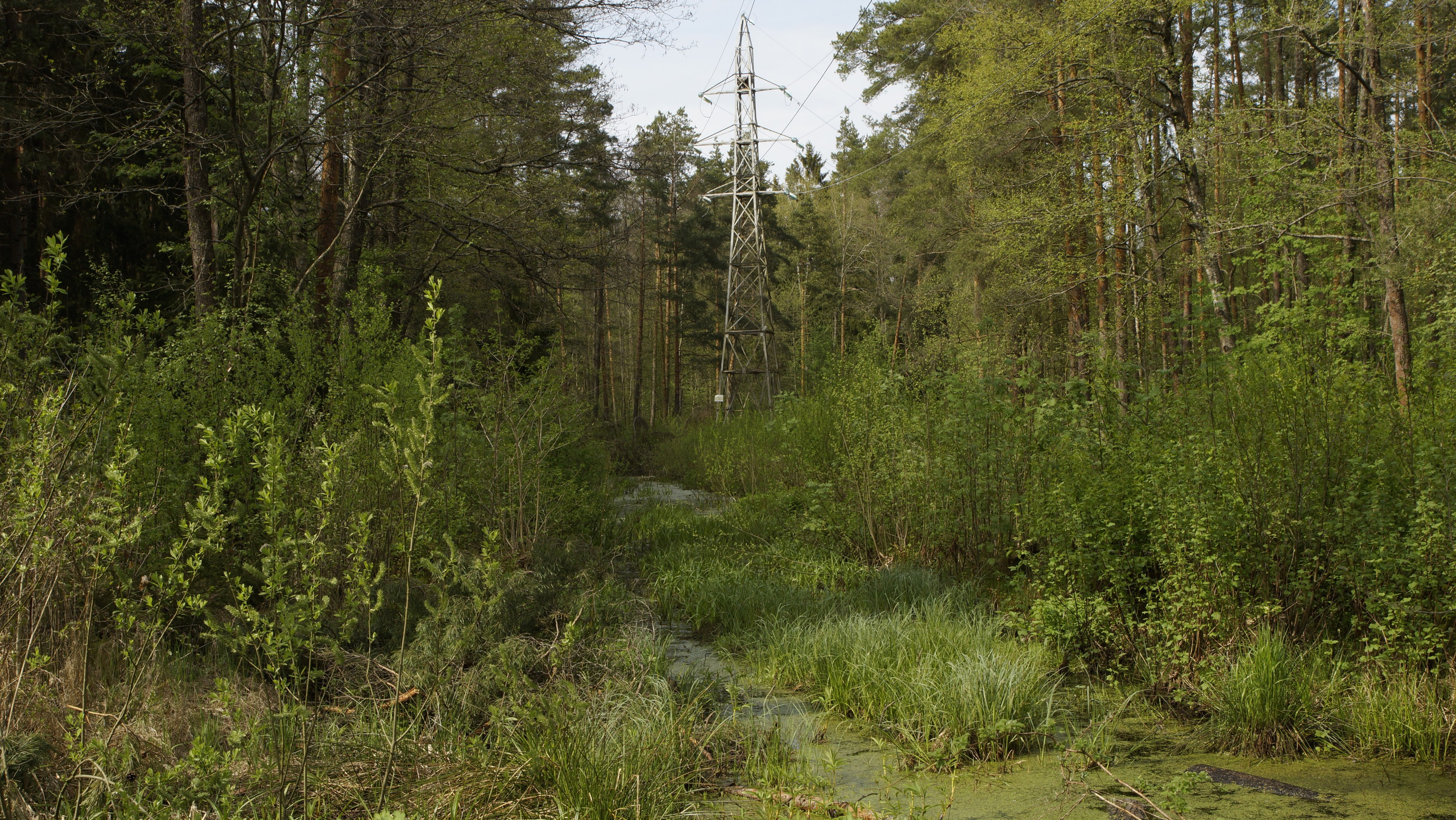 Набор качеств. Потешная фотопленка