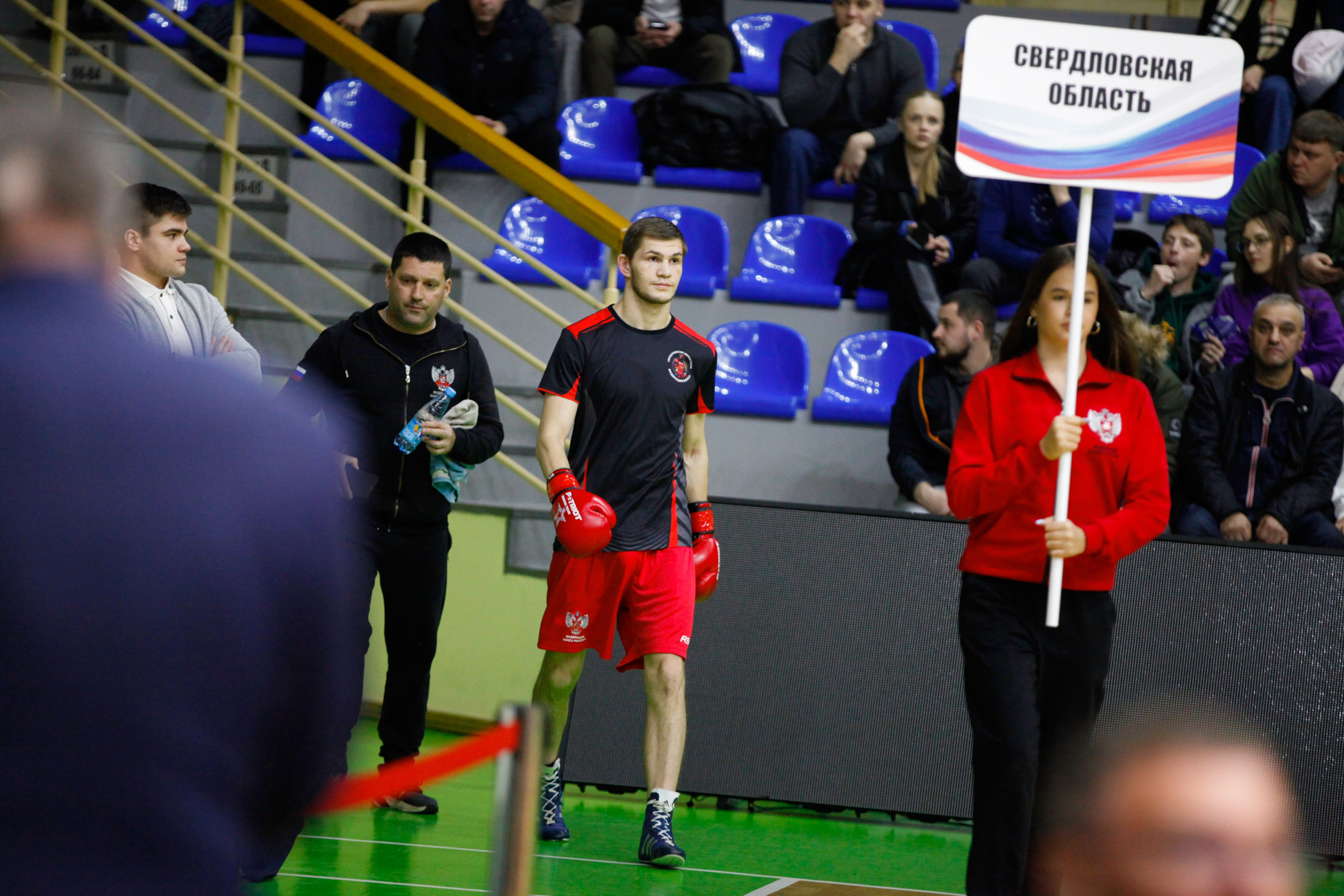 БОКС. Фото. Спортивный фотограф, трансляция, звук и свет в Новосибирске