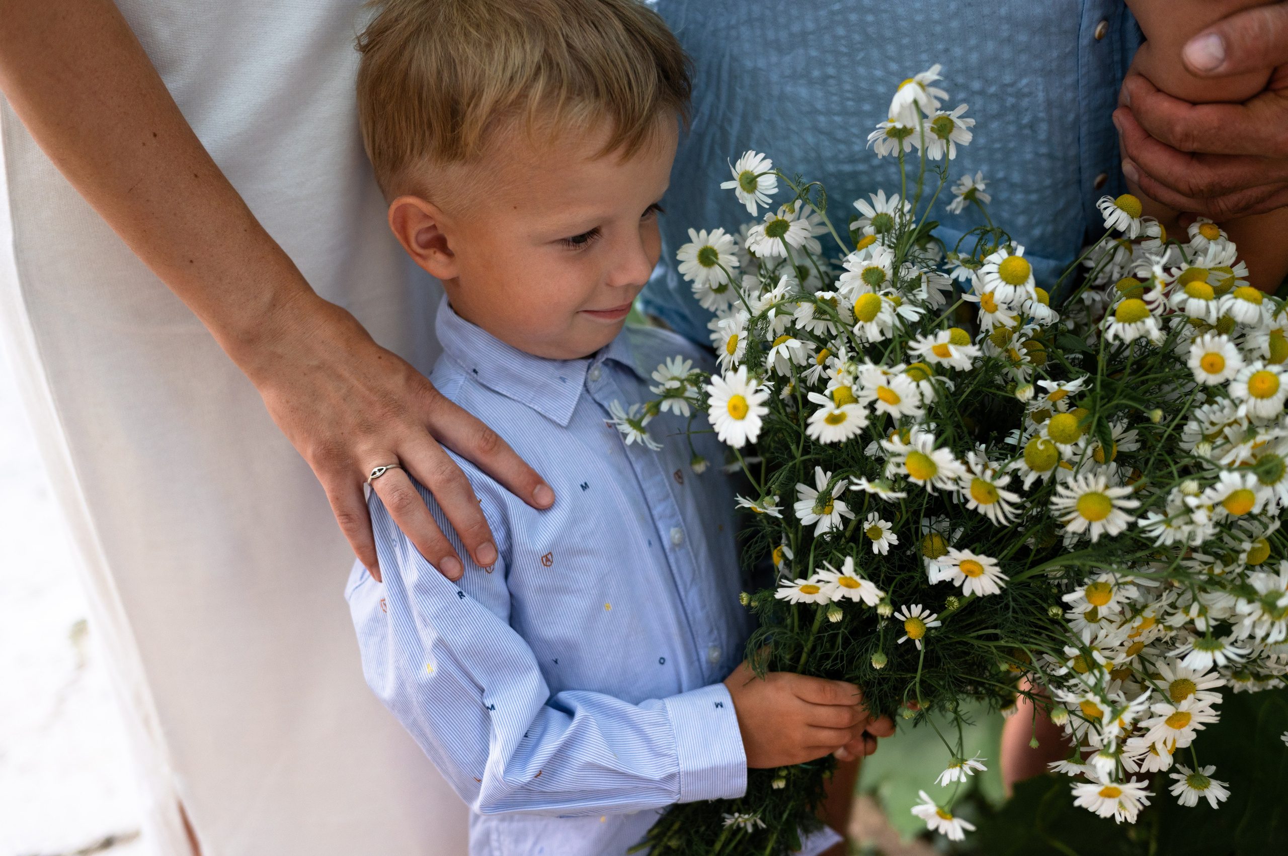 Ромашки и утята. Главная