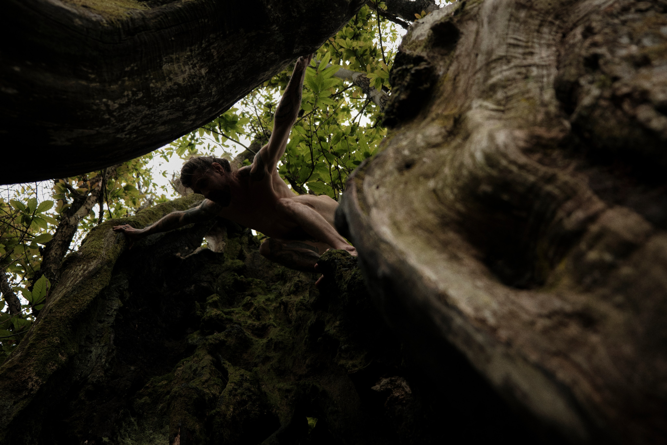 Khosta. Фотограф Настя Лев