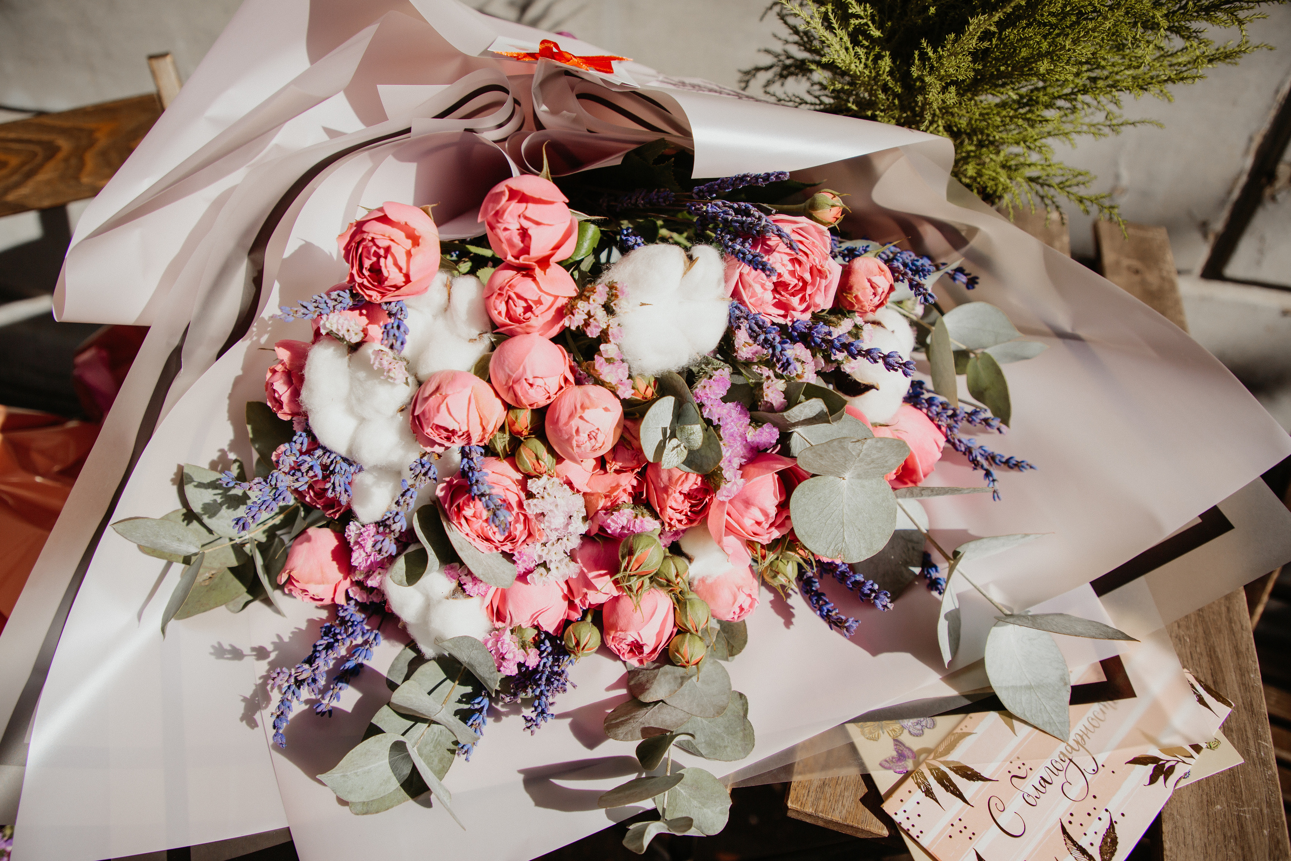 Выписка. Свадебный и семейный фотограф/видеограф в Краснодаре Наталья Осинская