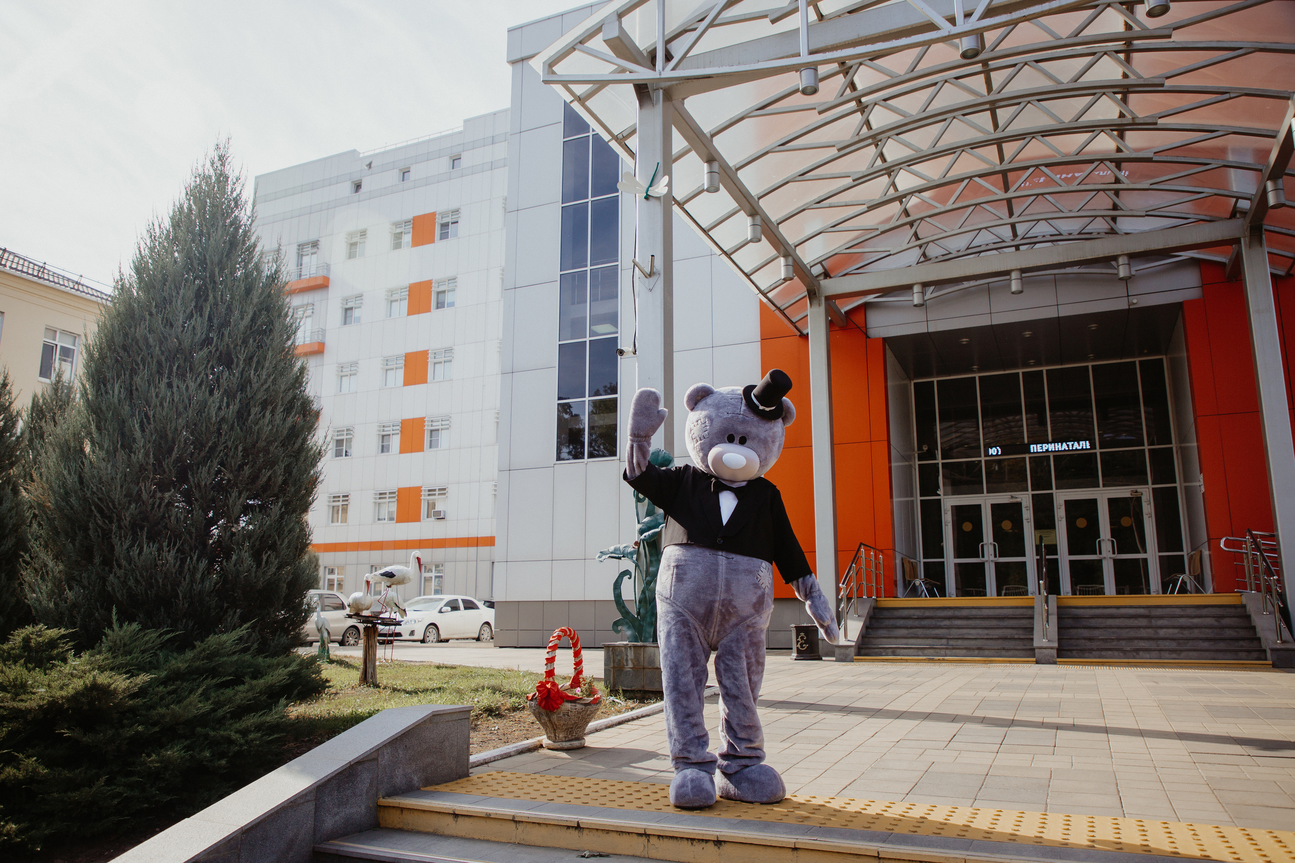 МИШКА ТЕДДИ. Свадебный и семейный фотограф/видеограф в Краснодаре Наталья Осинская