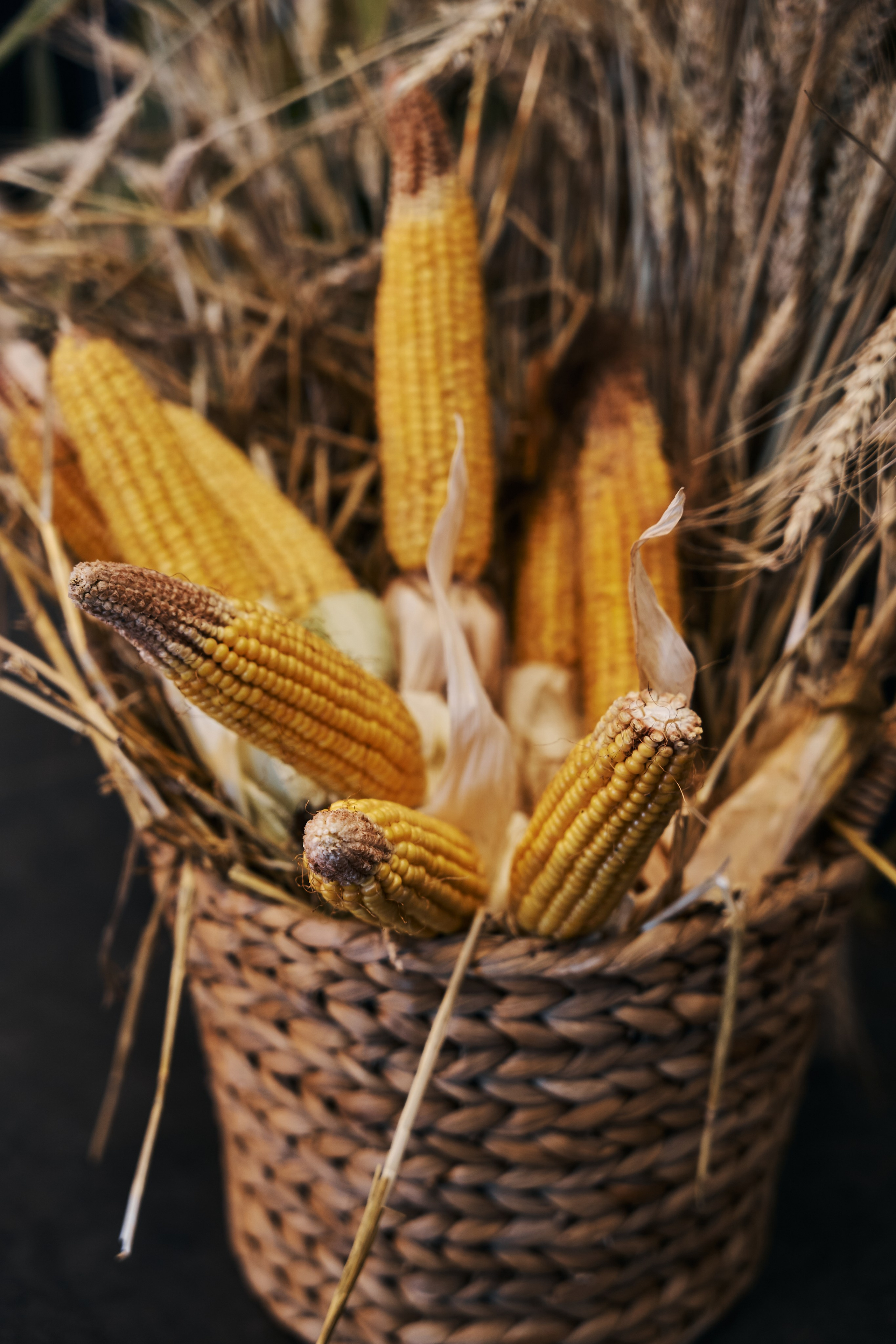 Sexychella. Фотограф в Москве Казакова Анна