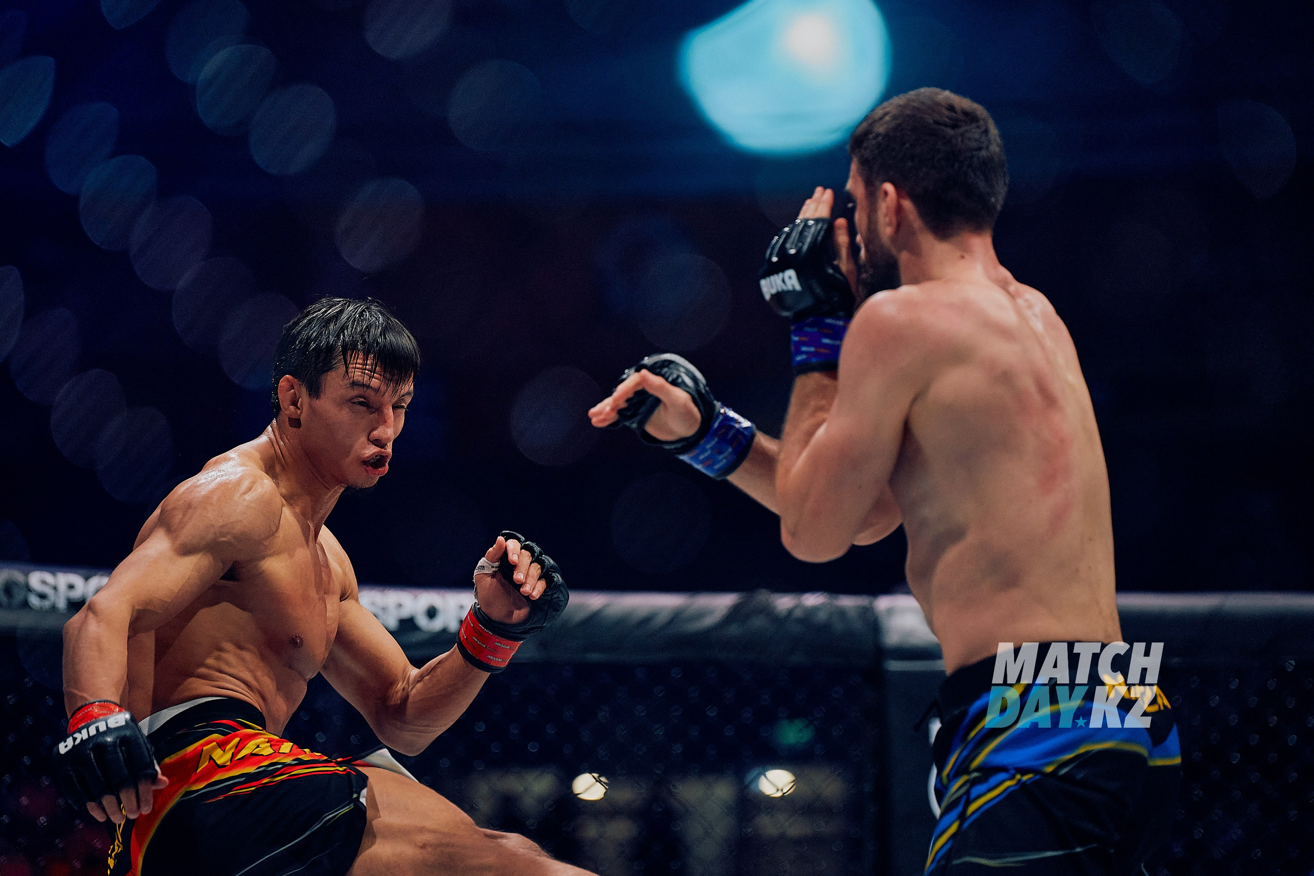 Naiza MMA (Astana) 6 December 2023. Professional photo & Event agency (Kazakhstan, Astana)