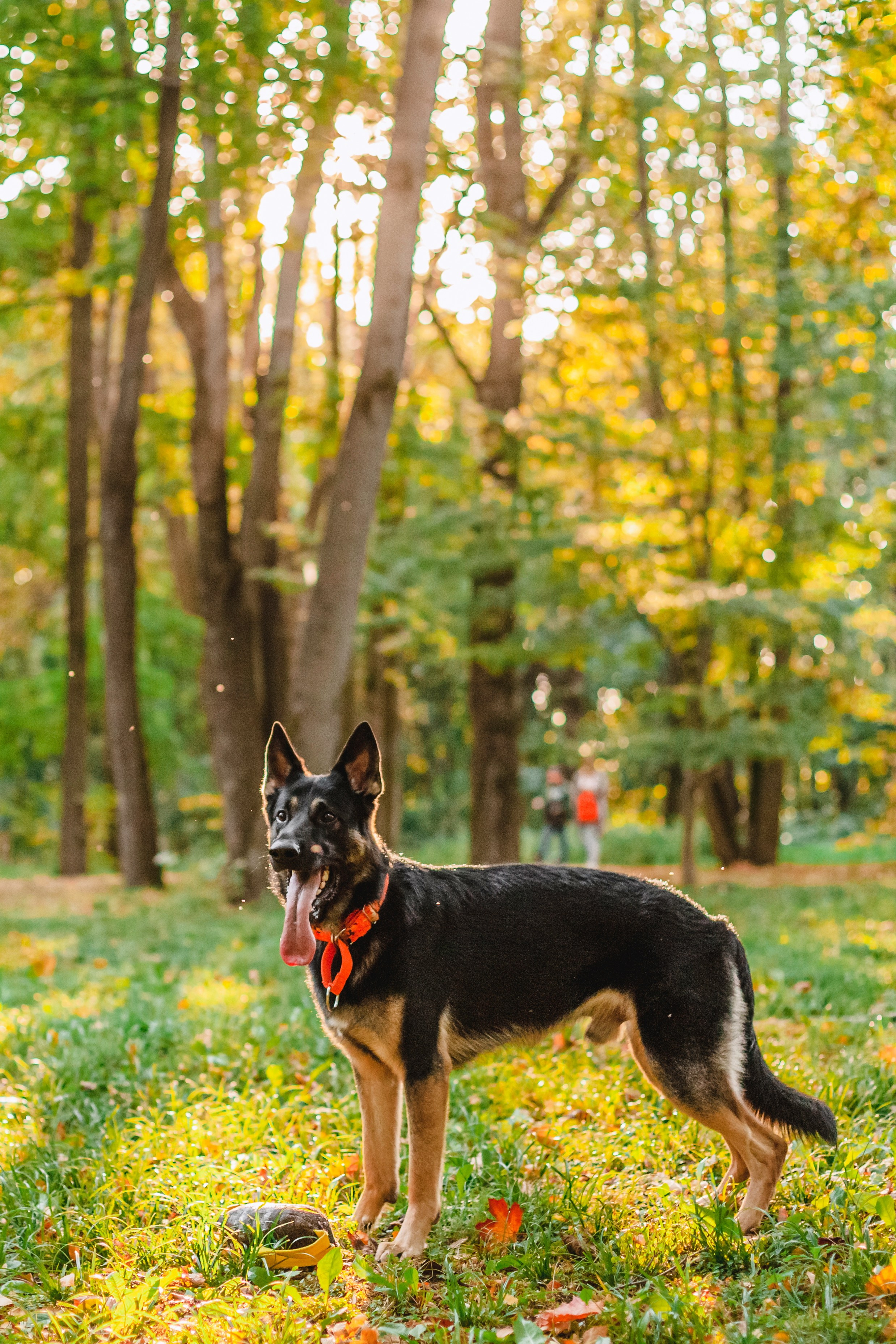 Илай. Фотограф-анималист Татьяна Степанова