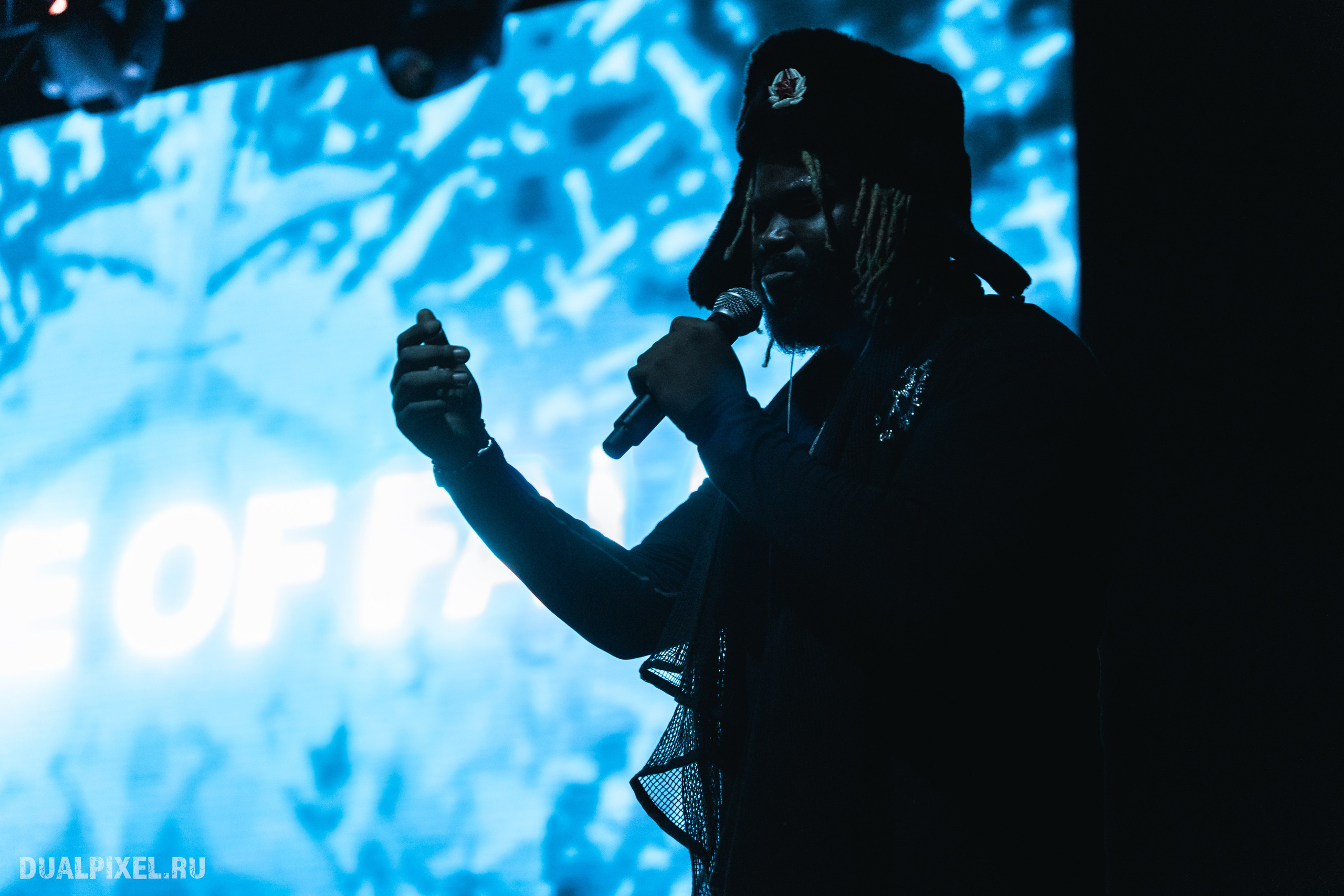 Prince Of Falls. Магия музыки в кадре: Концертная Фотография