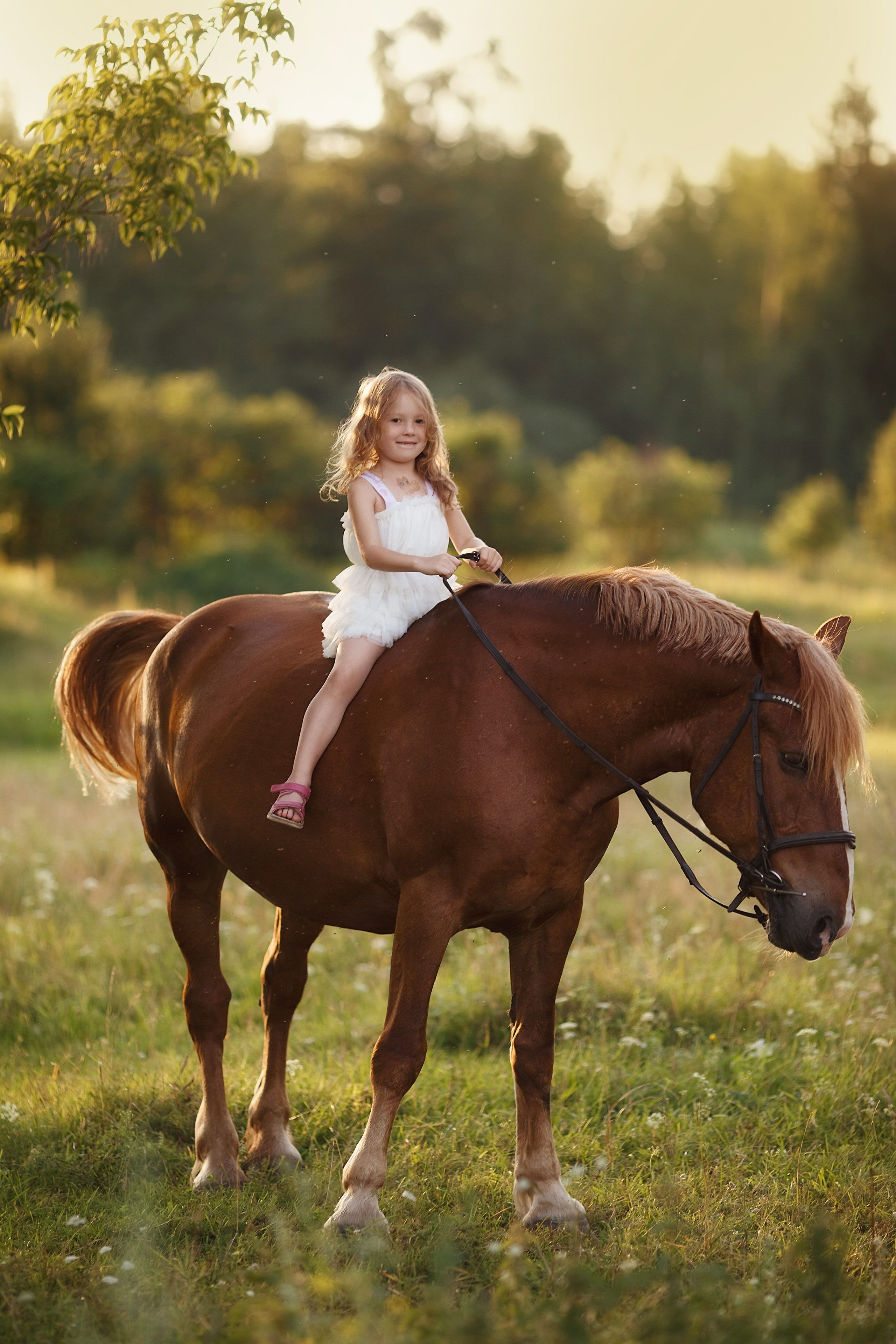 Фотосессии с лошадьми. Семейный и детский фотограф Ижевск | Тамара Дмитриева