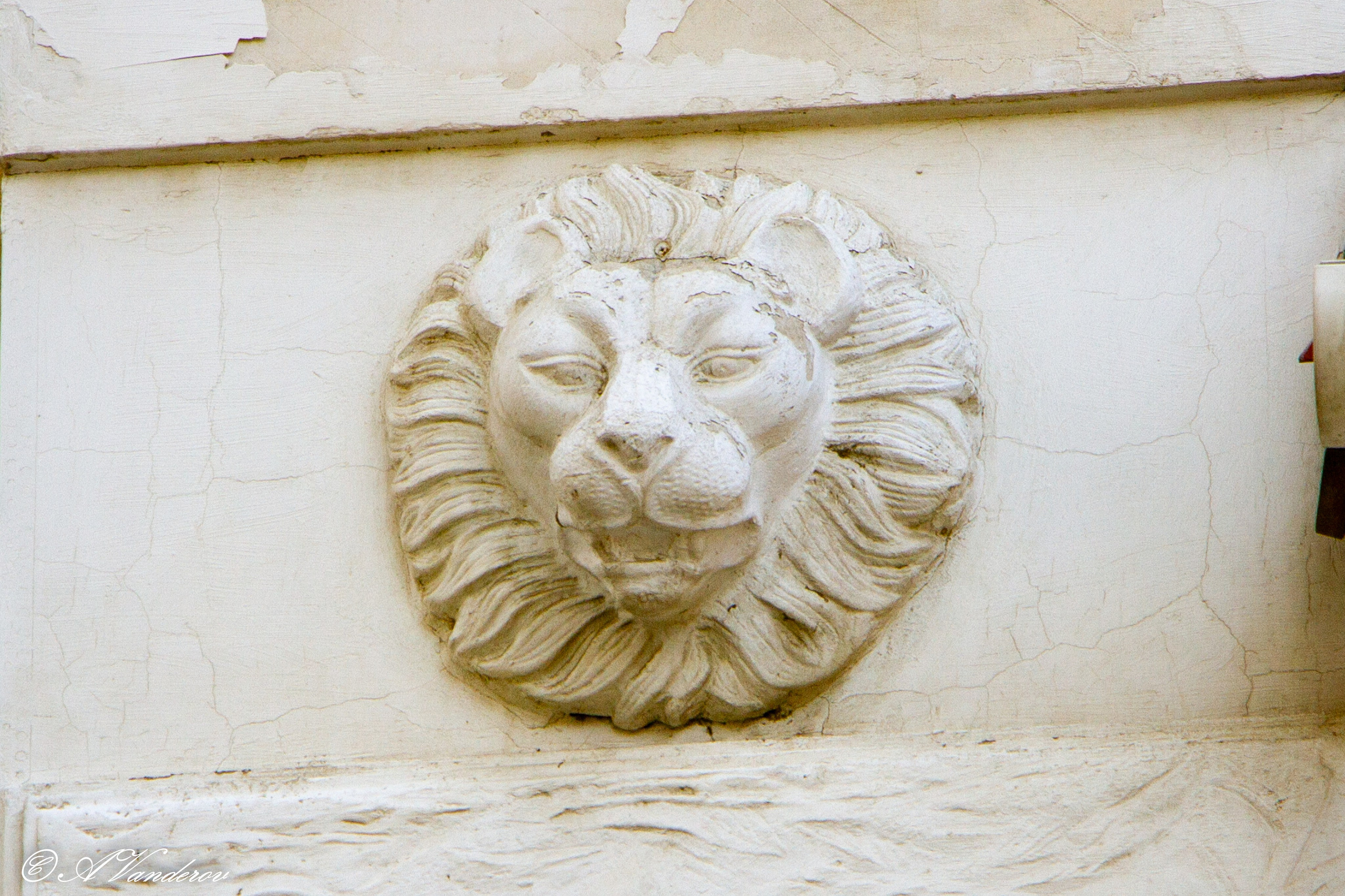 Омск 2023. Фотограф Омск | Александр Вандеров