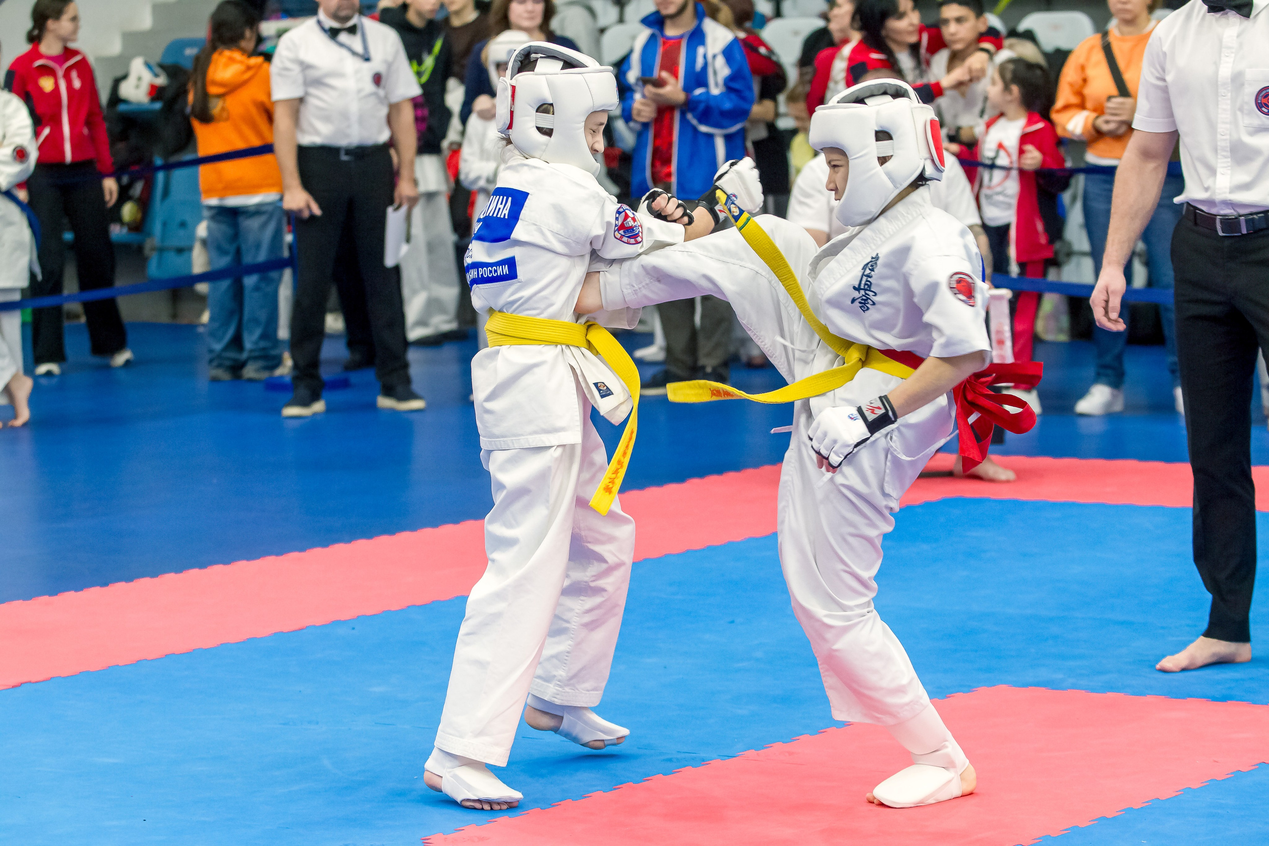 Соревнования по Киокушин памяти С. Увицкого. Репортажная съемка в Москве и области. Анималистика