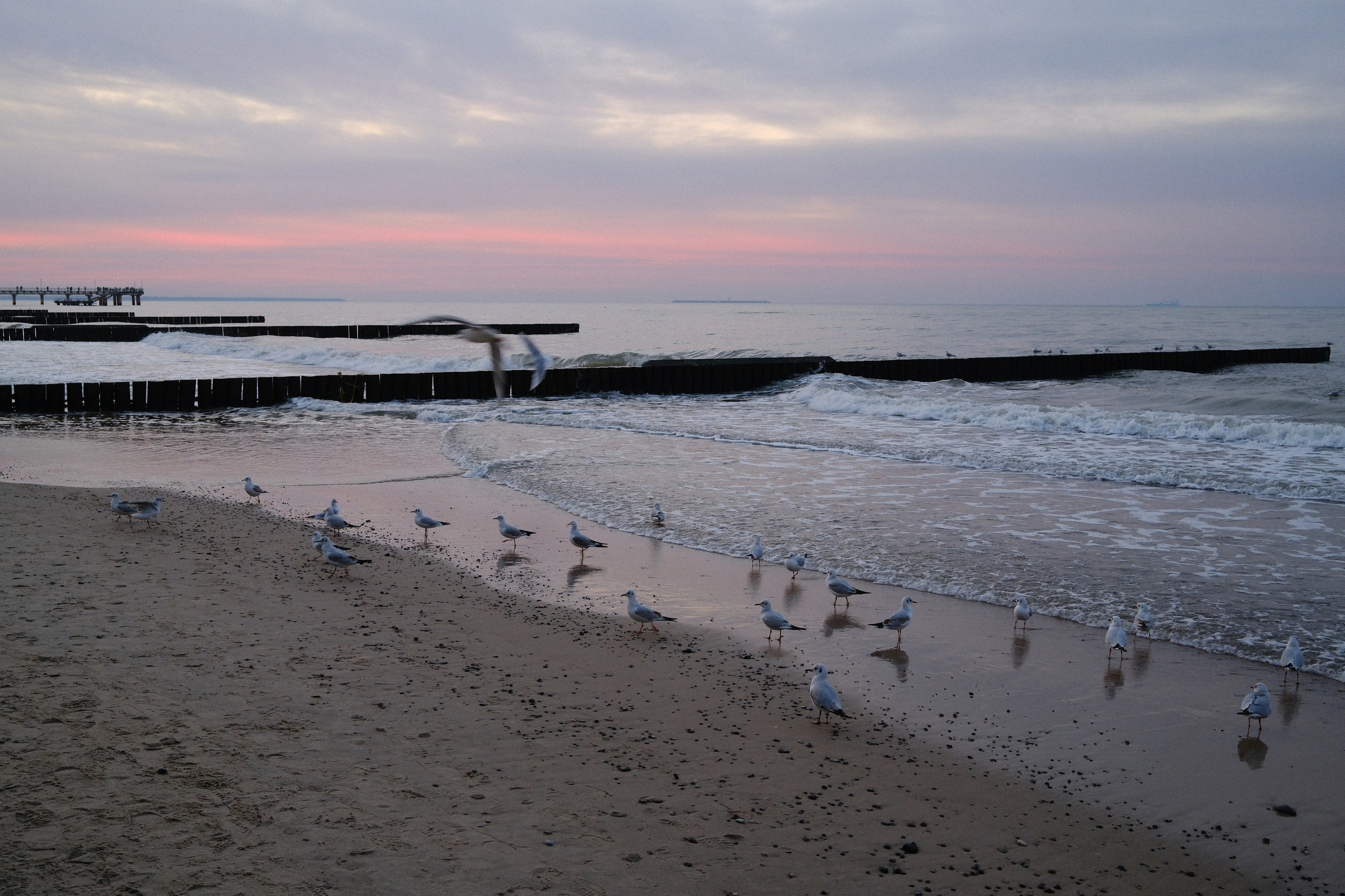 Зеленоградск. Калининградская область. Алексей Торопов фотограф