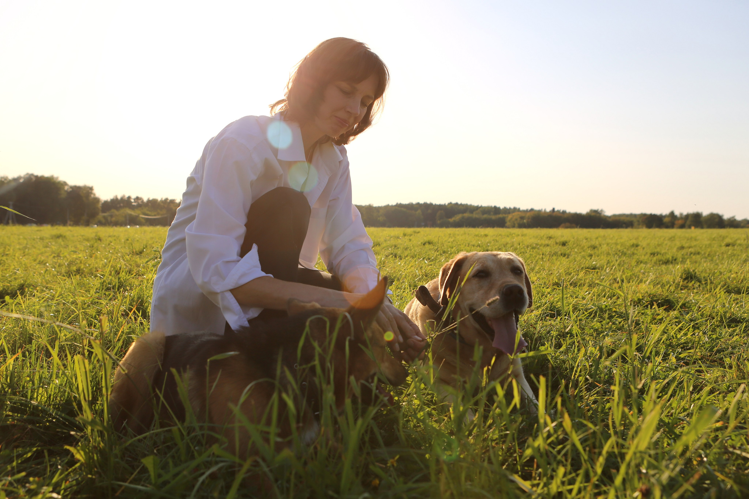 хозяйка с собакой