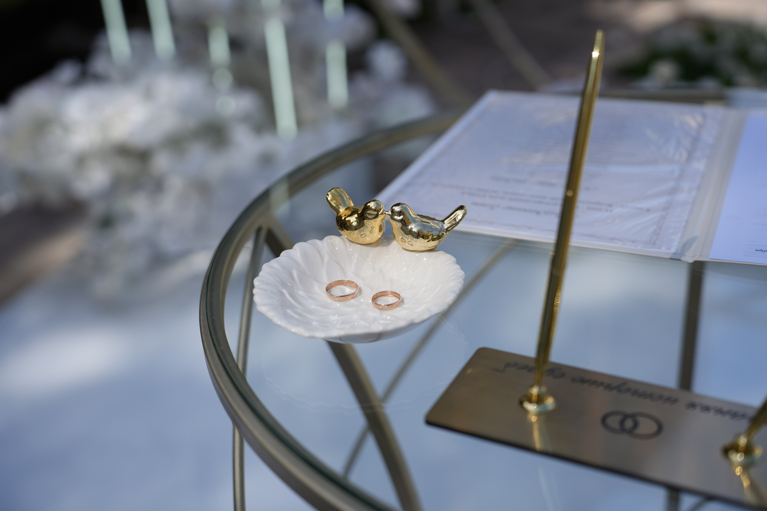 Загс.Студия.Прогулка.Банкет. Семейный фотограф Владимир Просвиркин. г. Самара