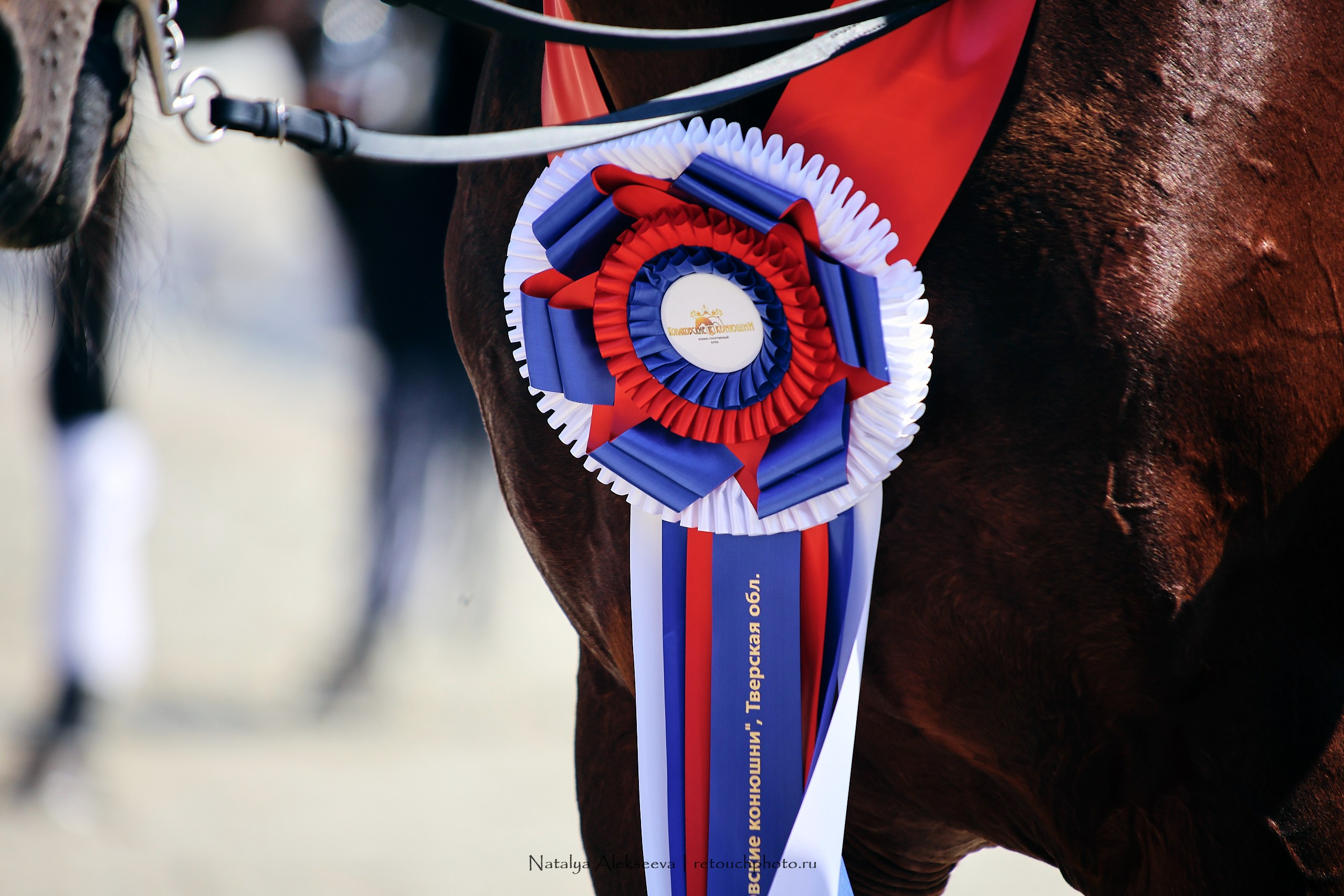 Личный ЧР по выездке, КСК Конаковские конюшни | 08'2023. Репортажный фотограф и ретушер в Москве Наталья Алексеева