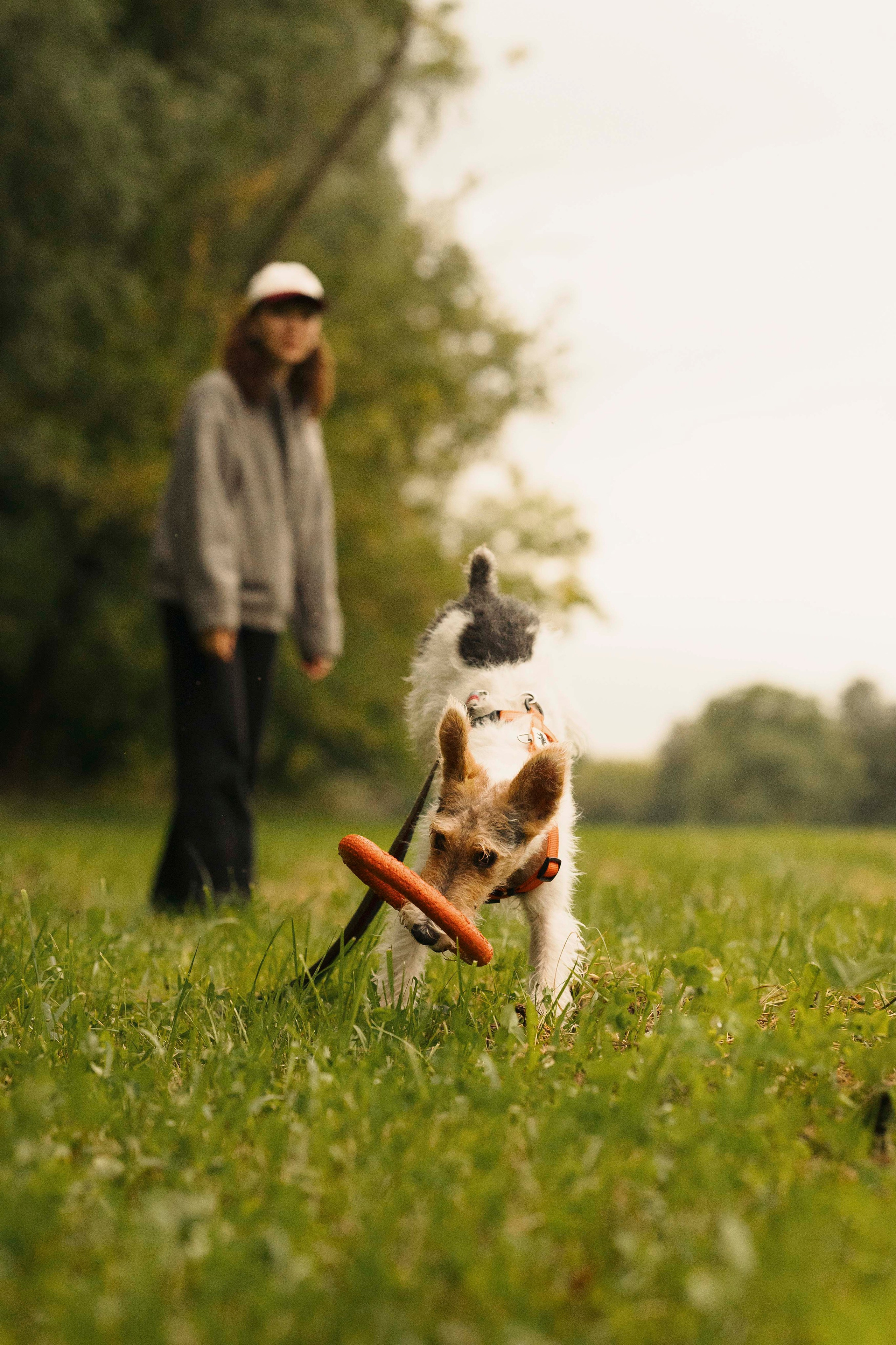 Мартин. Фотограф- анималист Александра Матвеева