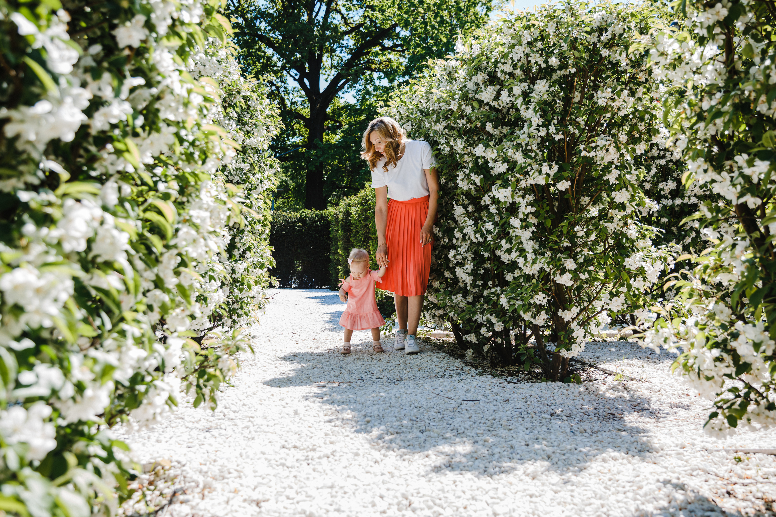 Цветение. Семейный фотограф Николаева Ольга