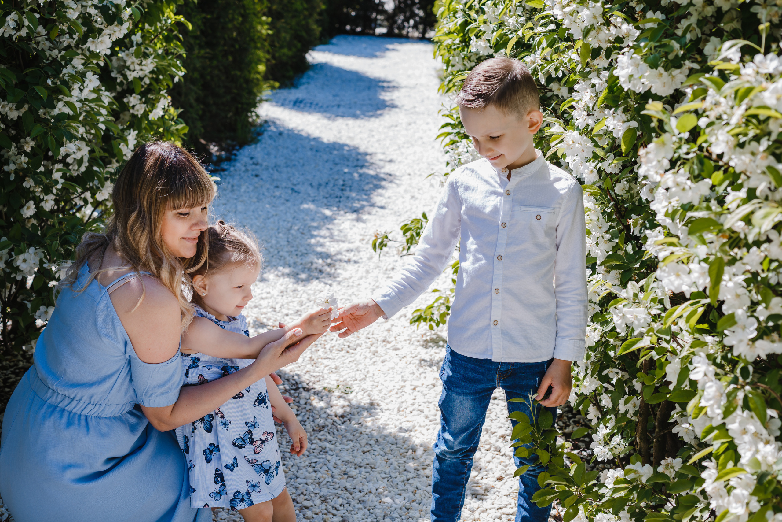 Цветение. Семейный фотограф Николаева Ольга