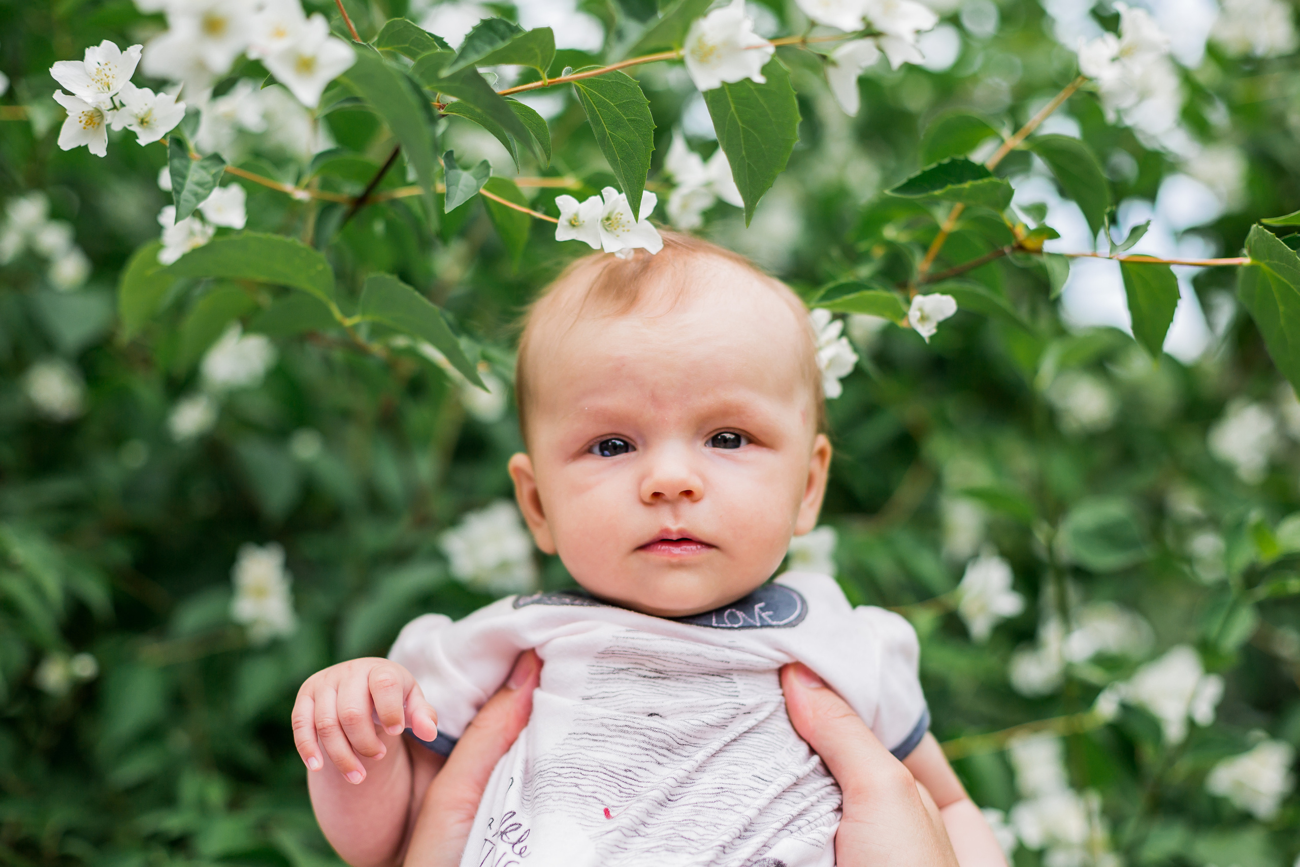 Цветение. Семейный фотограф Николаева Ольга